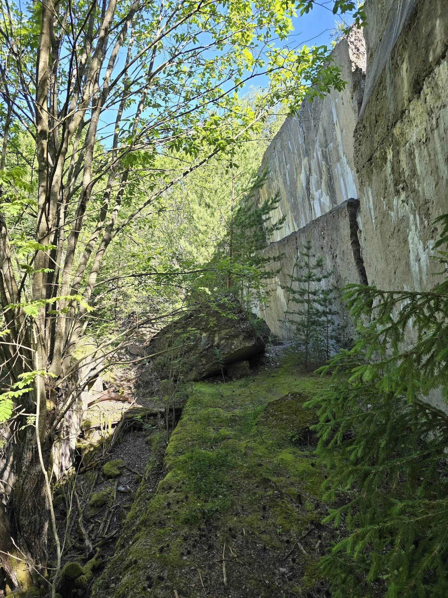 20240623_111955.jpg