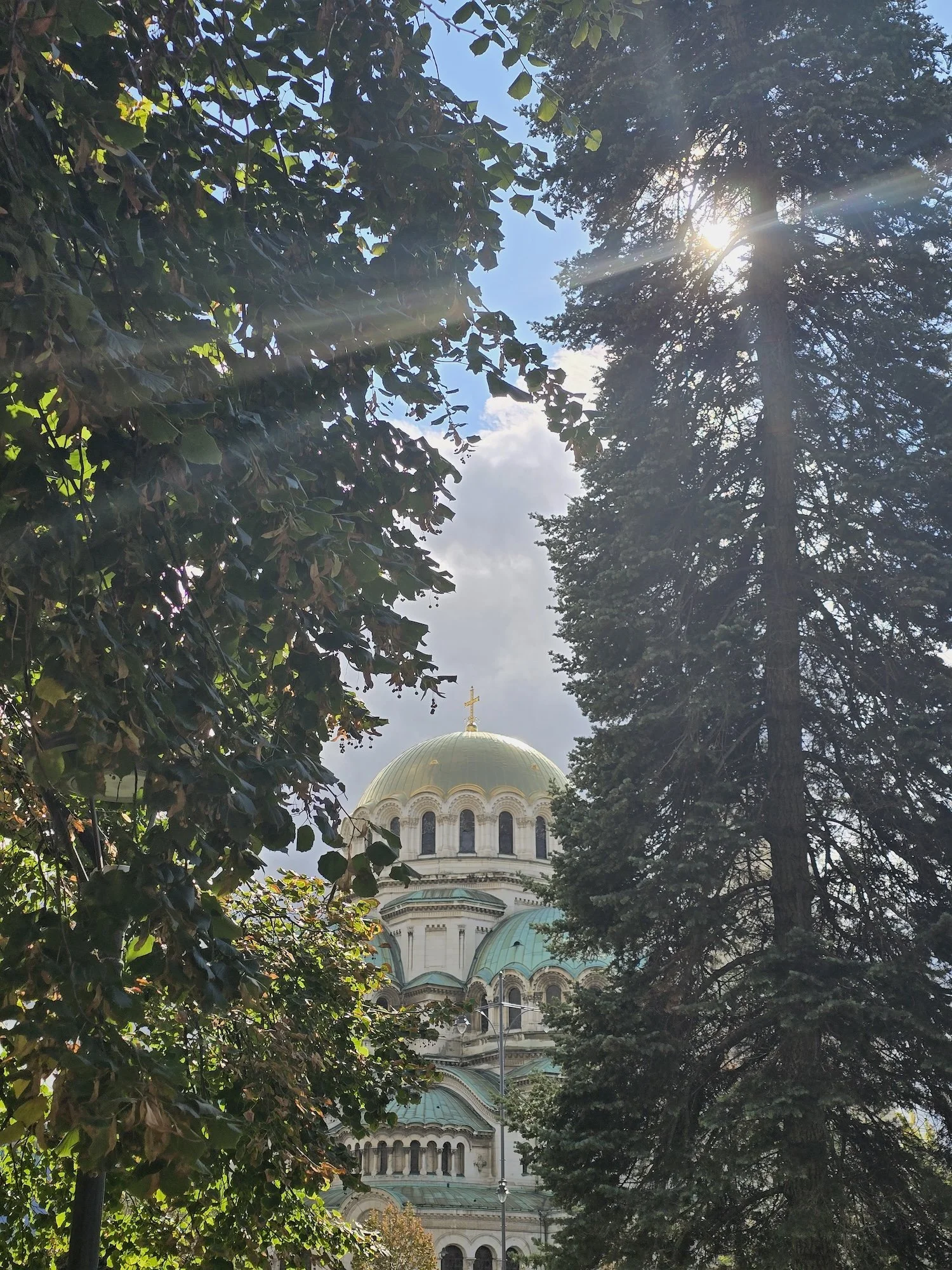 20240916_160543.jpg