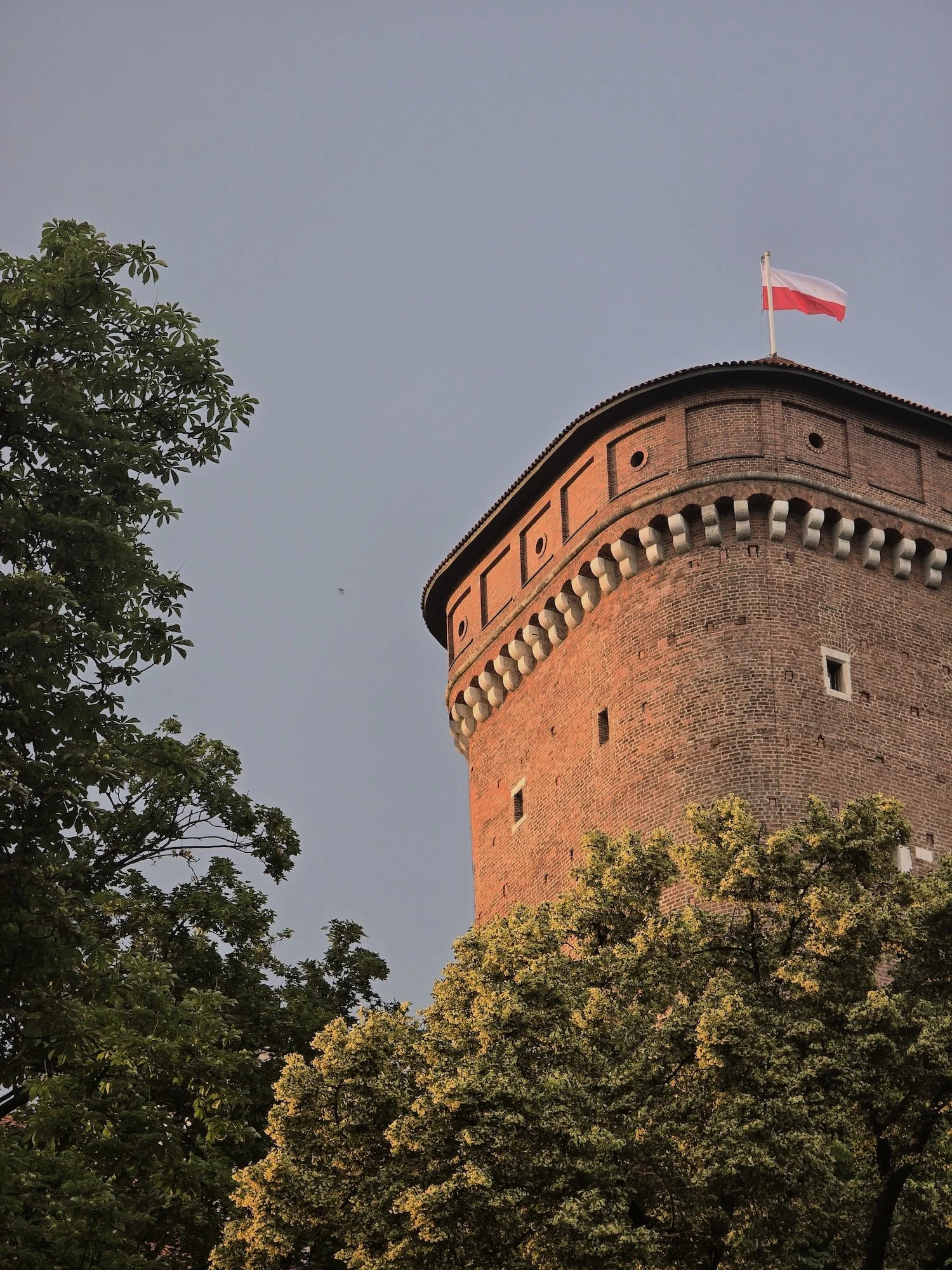 20260621_193941.jpg