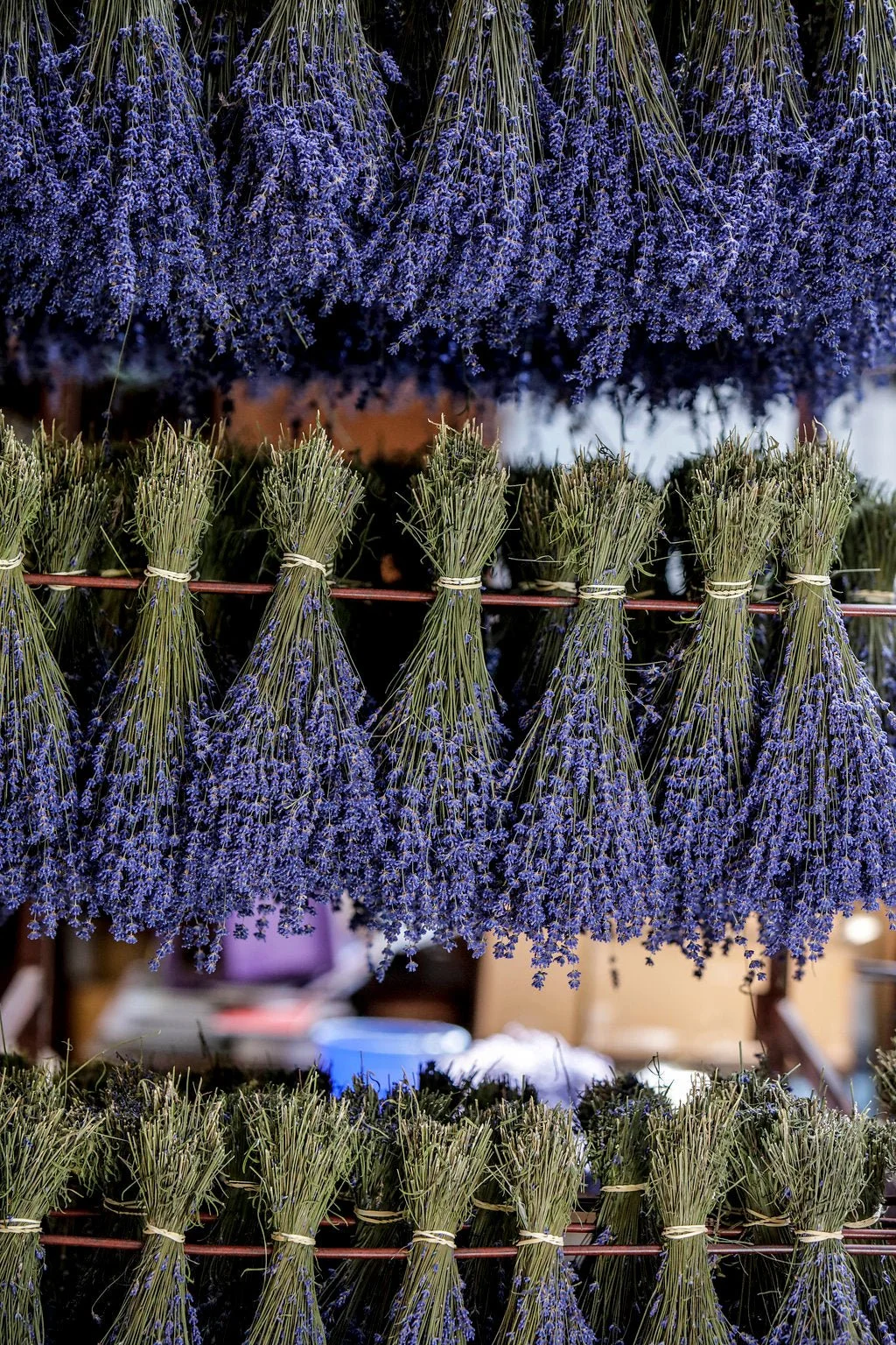 Lavender… The Quiet Classic