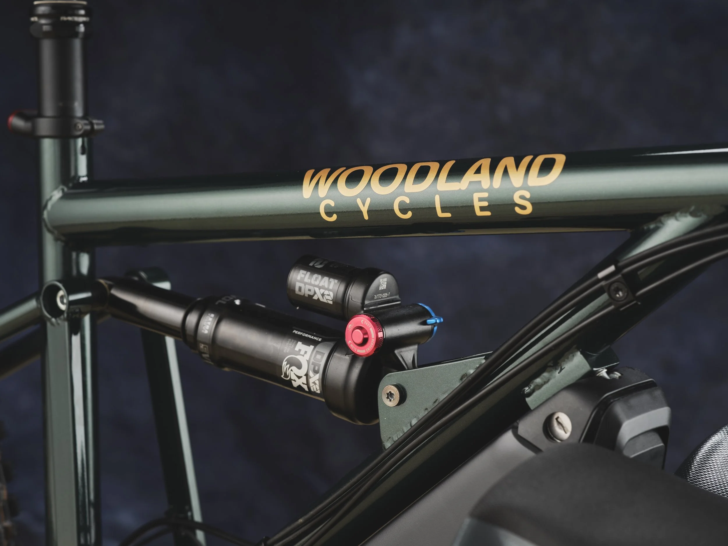 AG-BespokedDresden25-BestCargo-WoodlandCycles-03.JPG