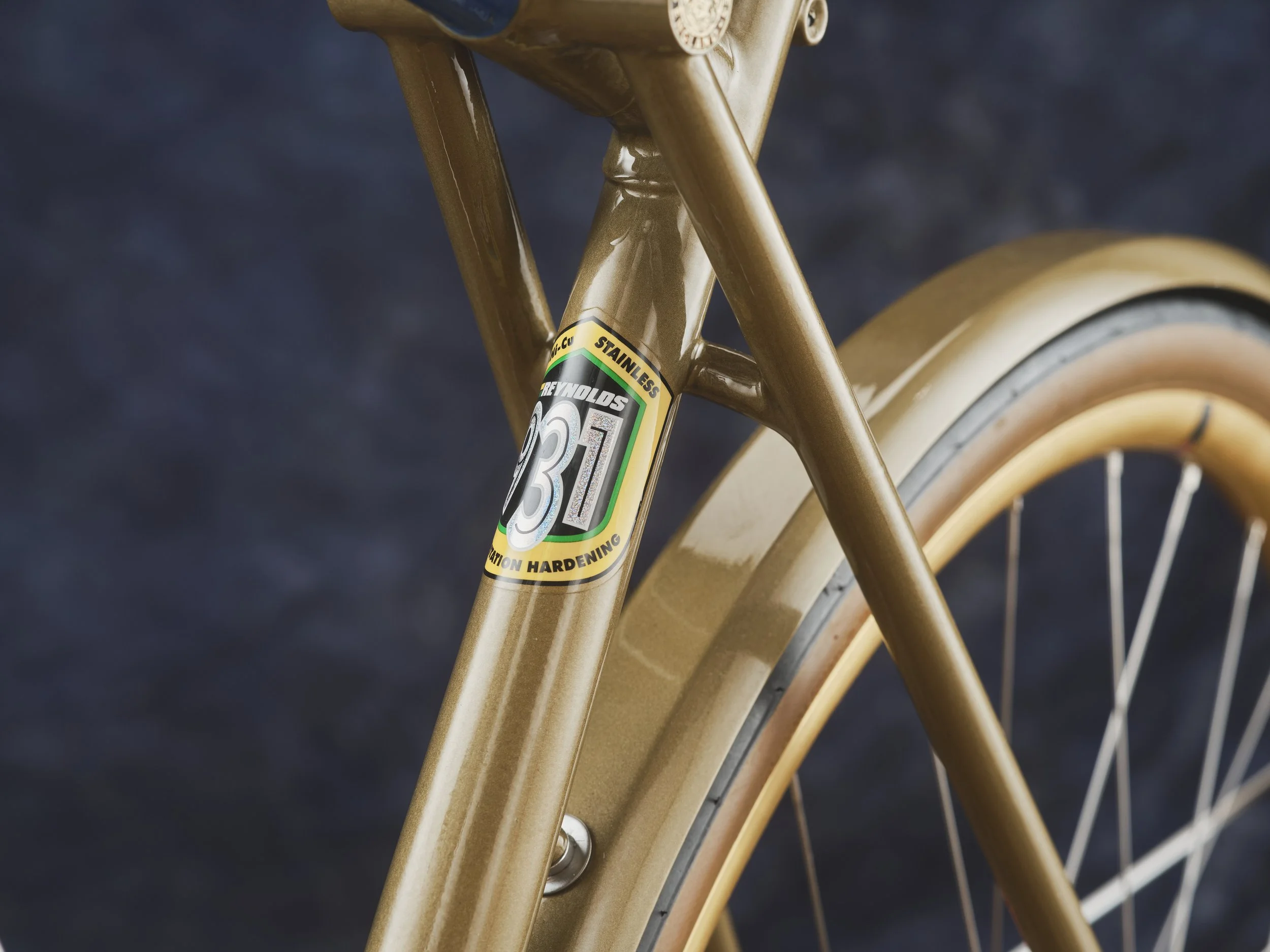 Bespoked25-PeoplesChoice-Medusa-20-3k.JPG