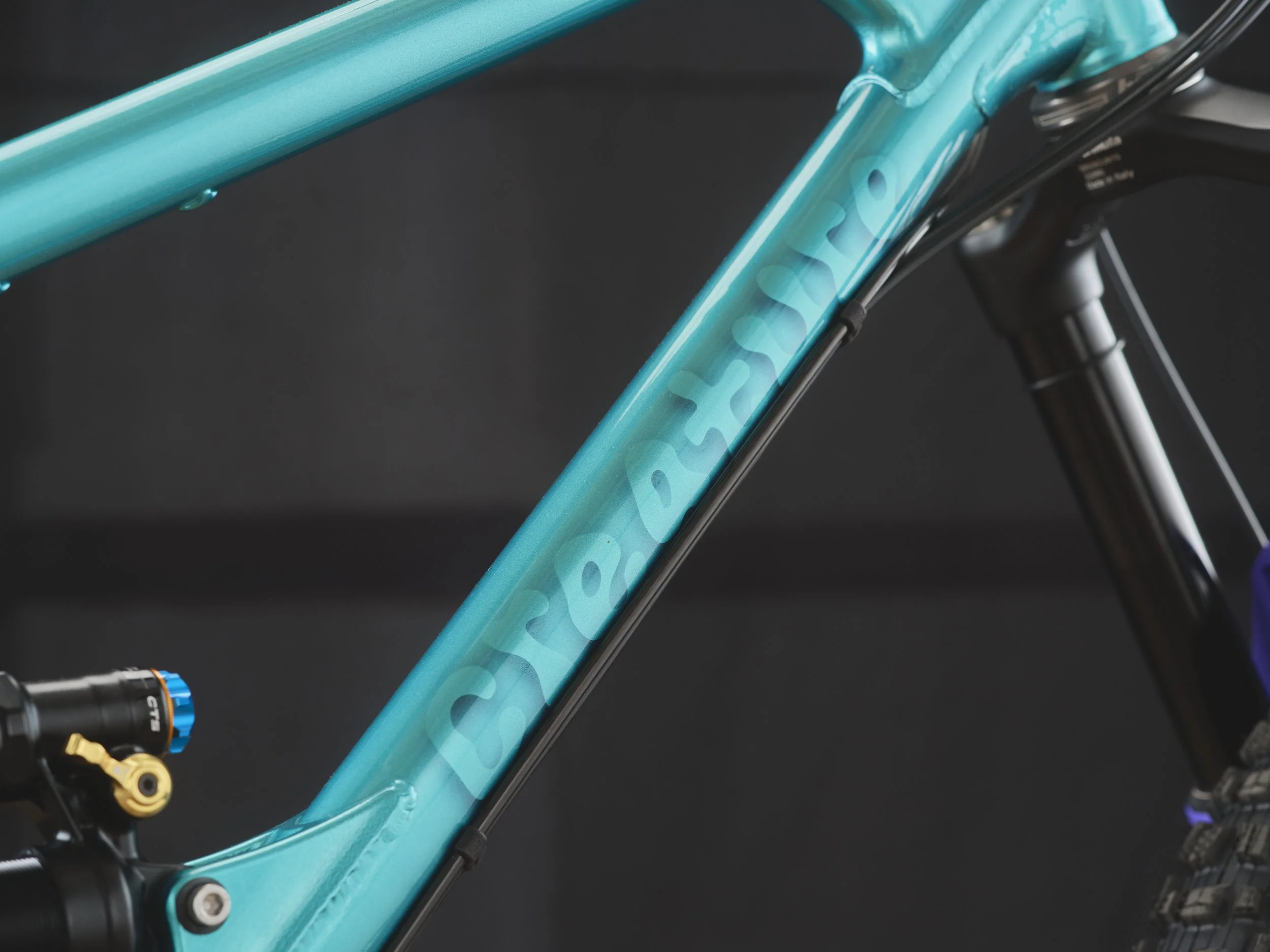 Bespoked25-PeersChoice-CreatureCycles-05-3k.JPG