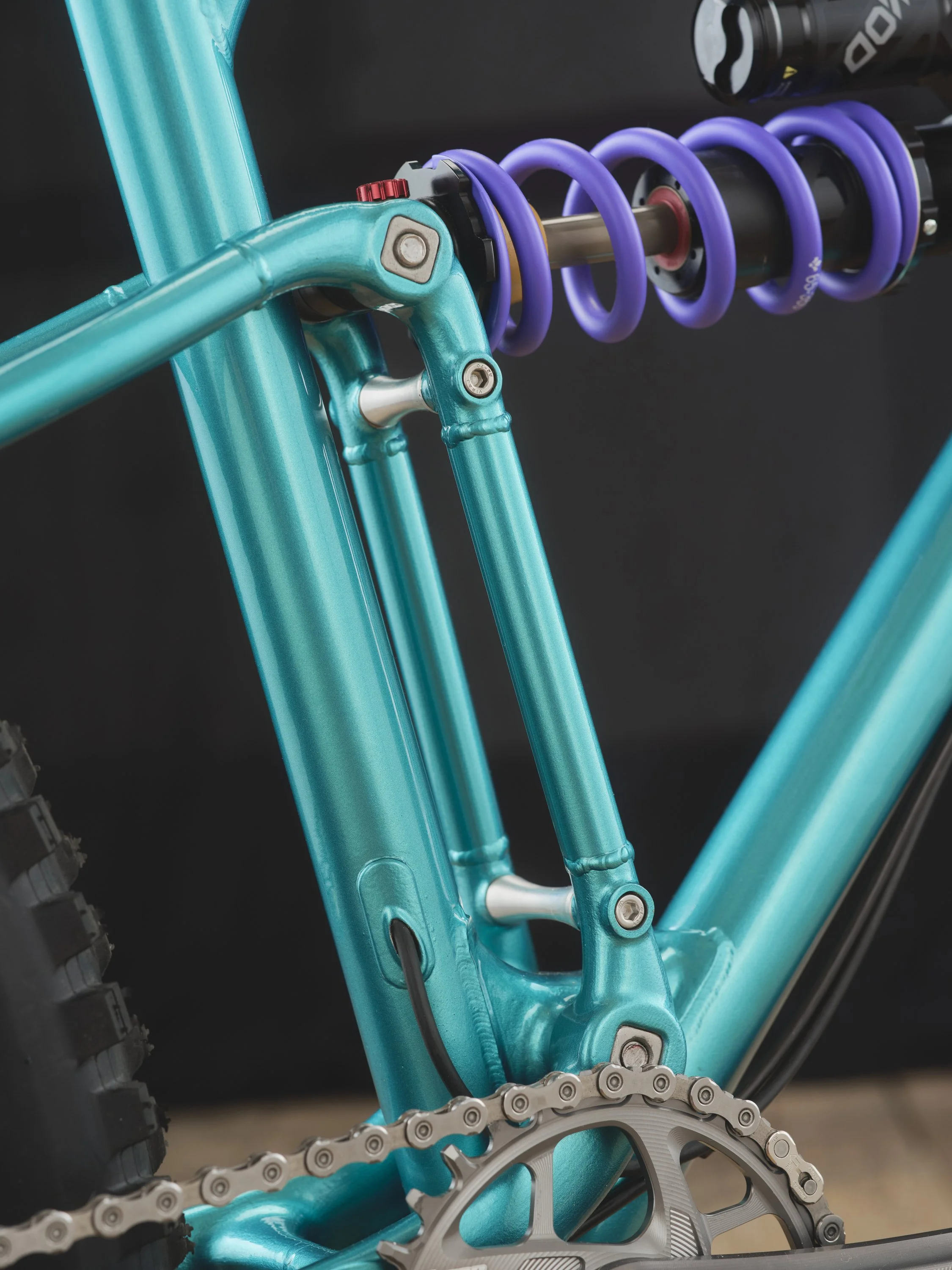 Bespoked25-PeersChoice-CreatureCycles-06-3k.JPG