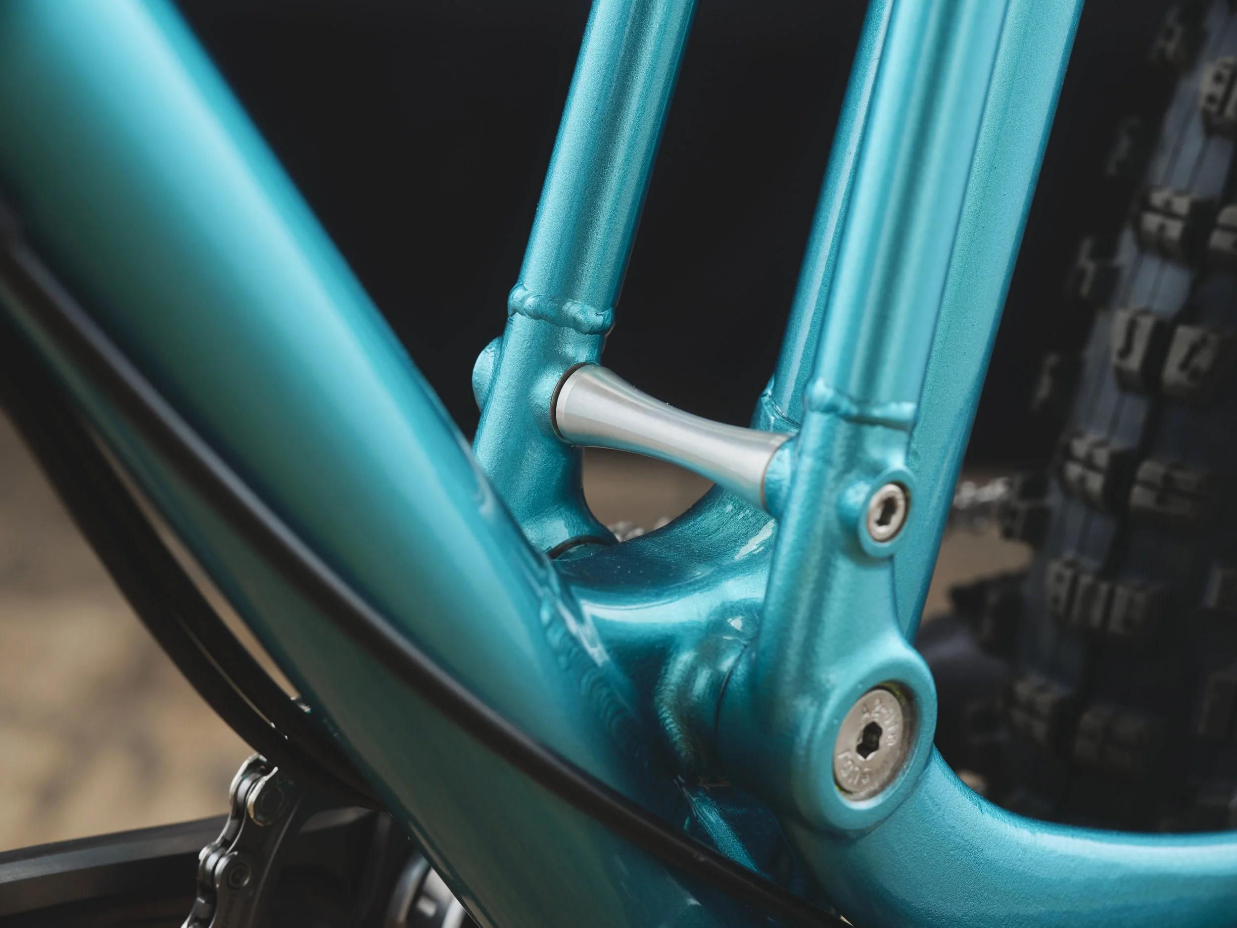 Bespoked25-PeersChoice-CreatureCycles-11-3k.JPG