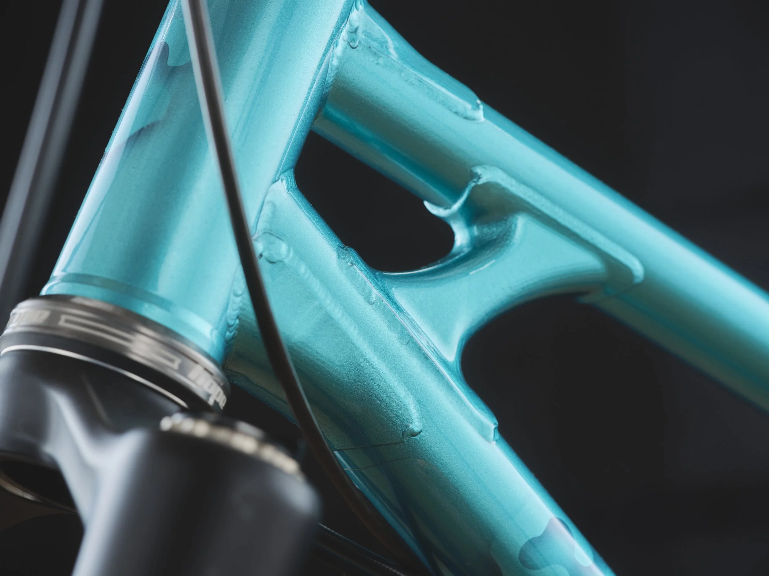 Bespoked25-PeersChoice-CreatureCycles-14-3k.JPG