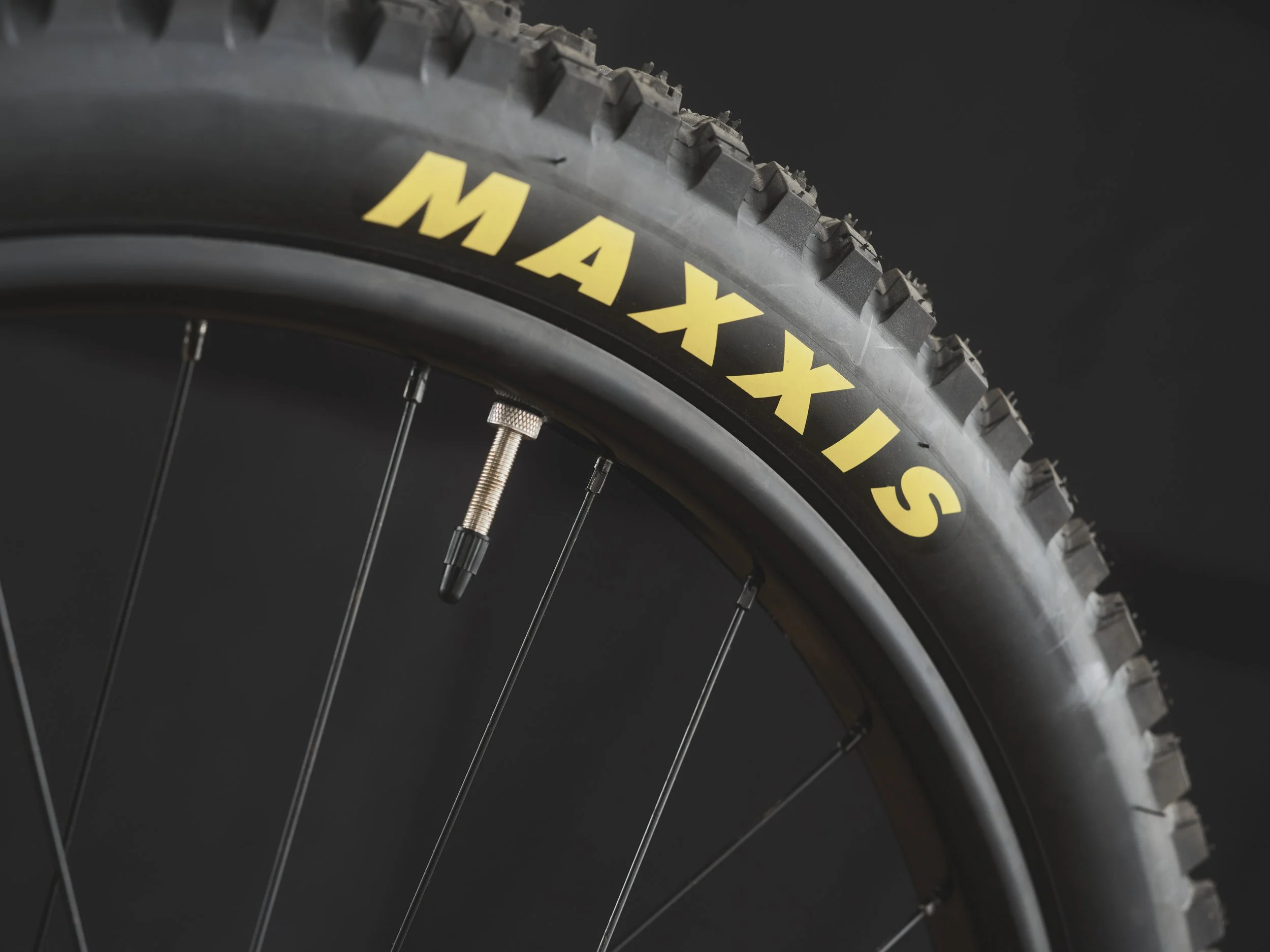 Bespoked25-PeersChoice-CreatureCycles-16-3k.JPG