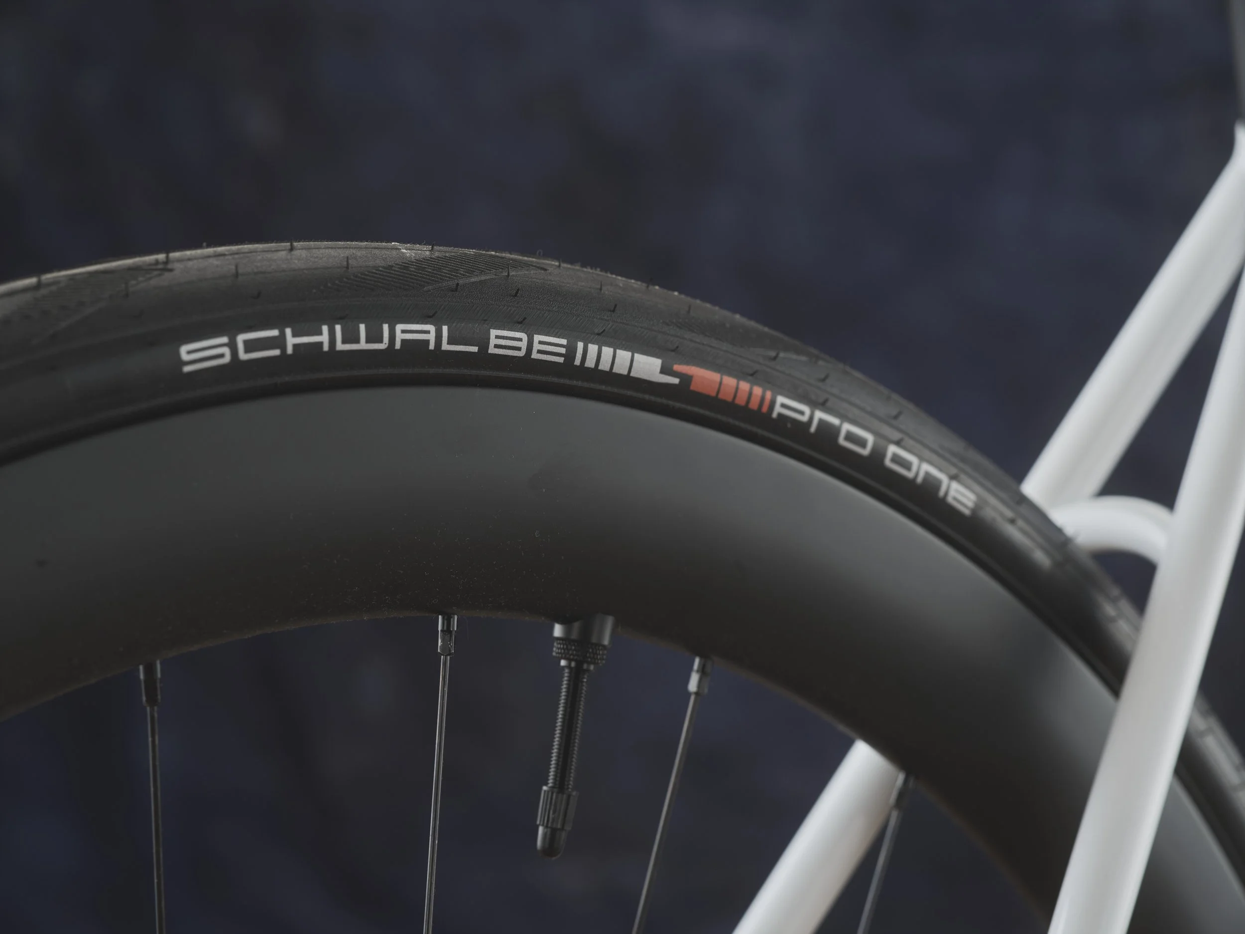 Bespoked25-BestRoad-Feather-06-3k.JPG