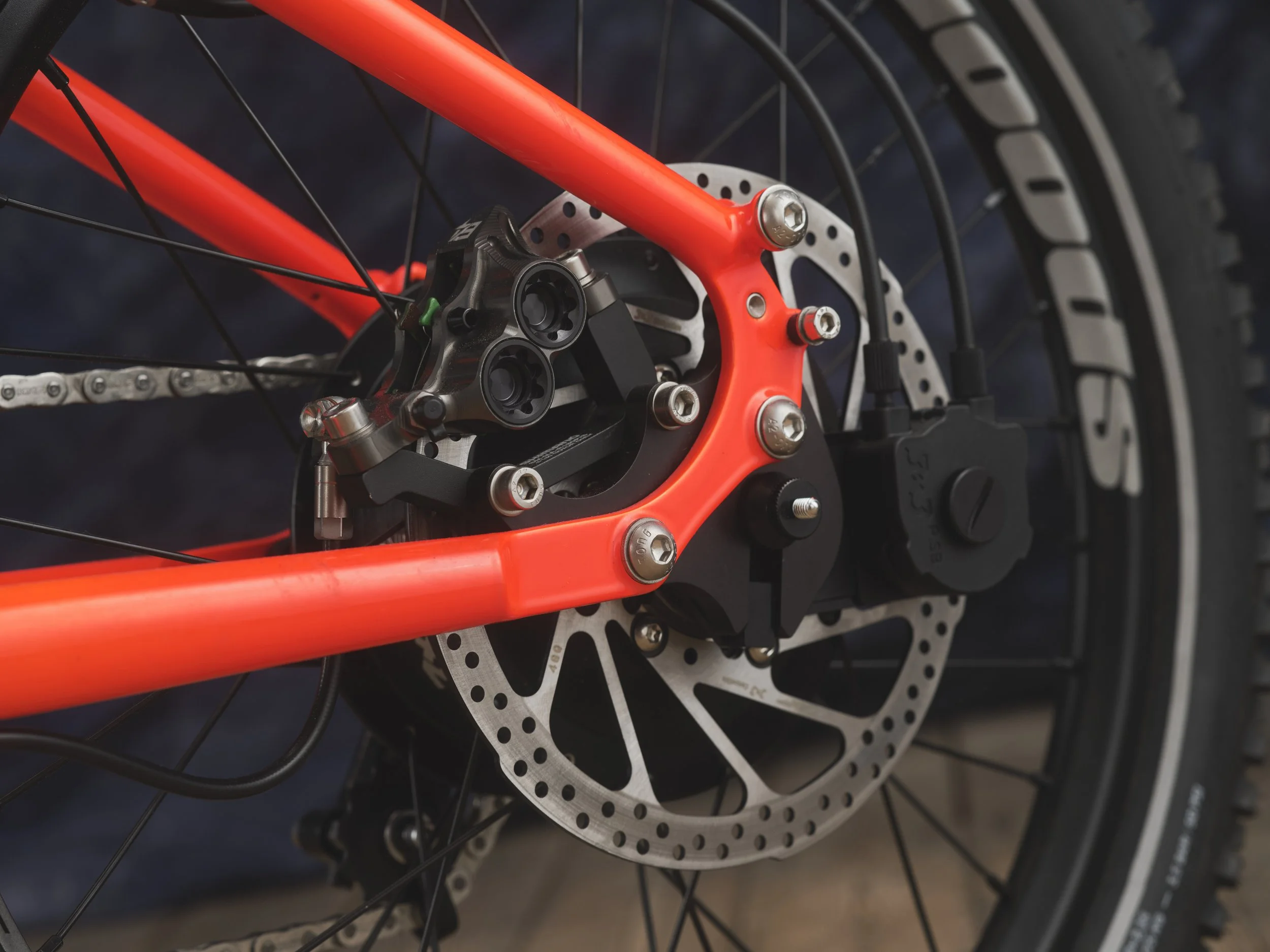 Bespoked25-BestInShow-Drust-15-3k.JPG