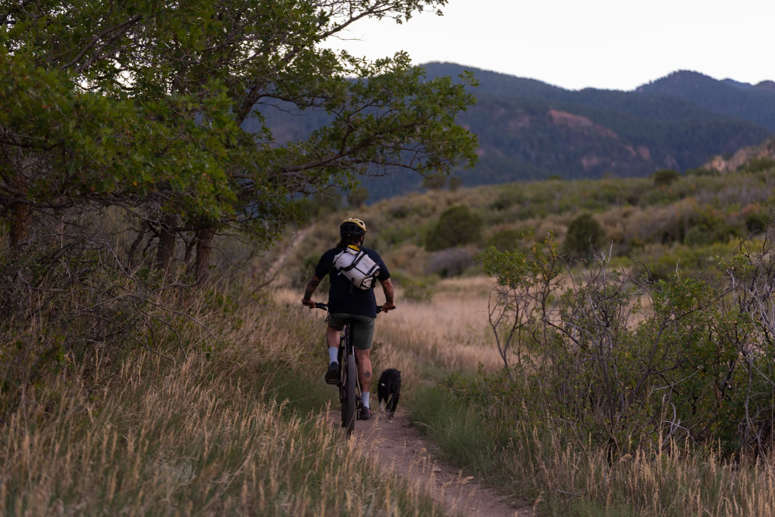  A person riding into the distance in dry, grassy scenery as their dog leads the way 