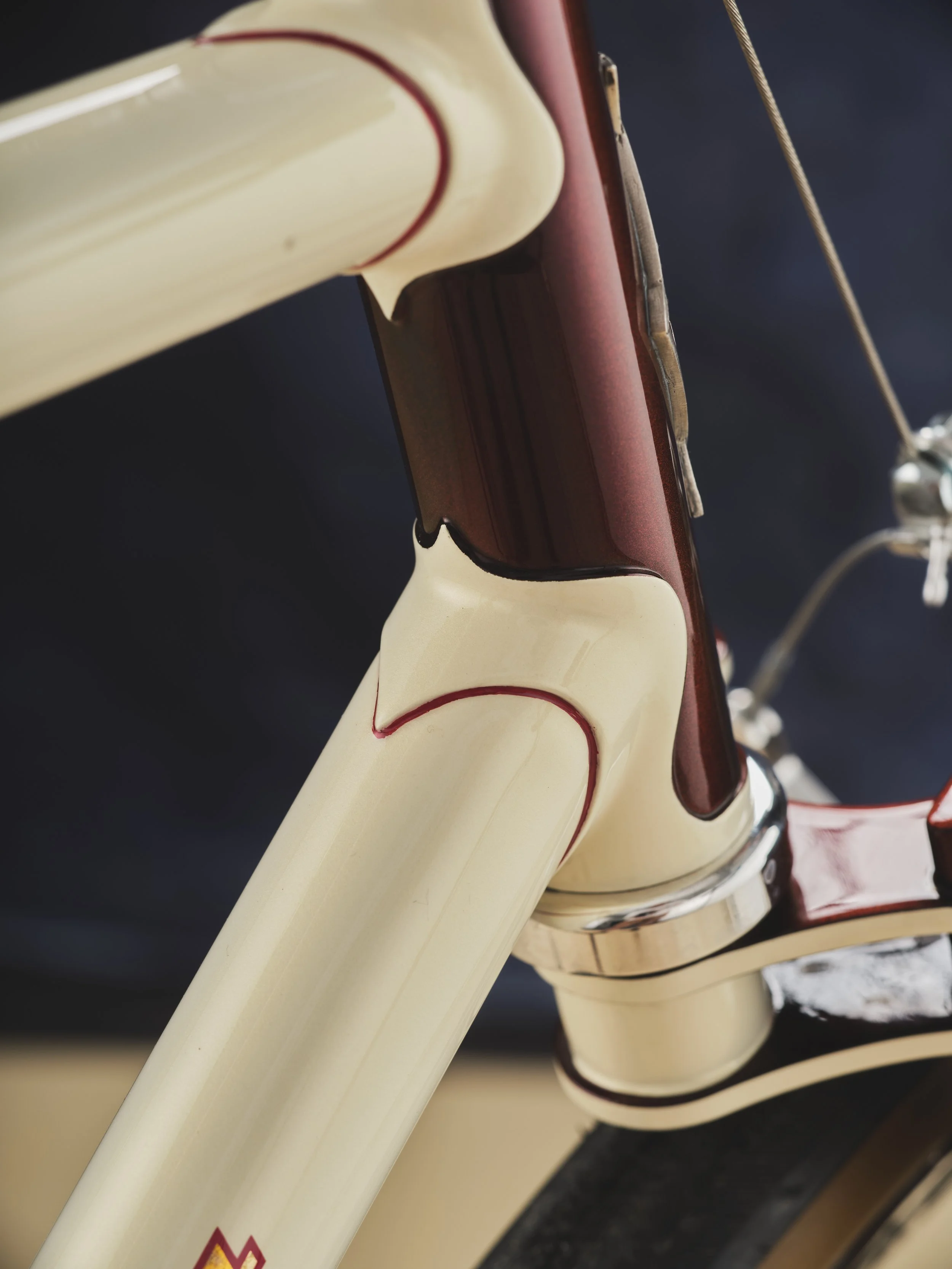 AG-BespokedDresden25-BestSinglespeed-FinnbarTrout-23.JPG