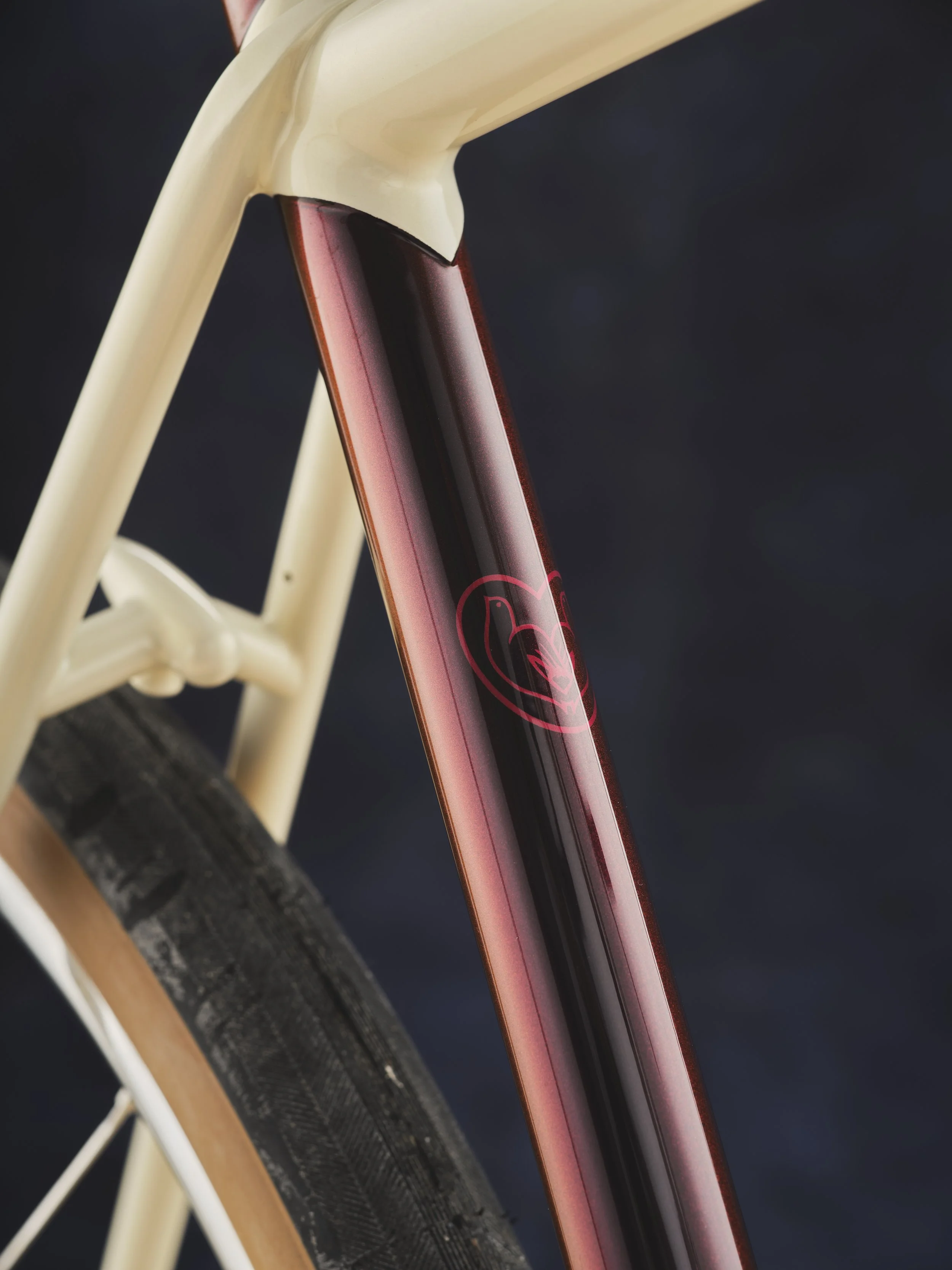 AG-BespokedDresden25-BestSinglespeed-FinnbarTrout-16.JPG