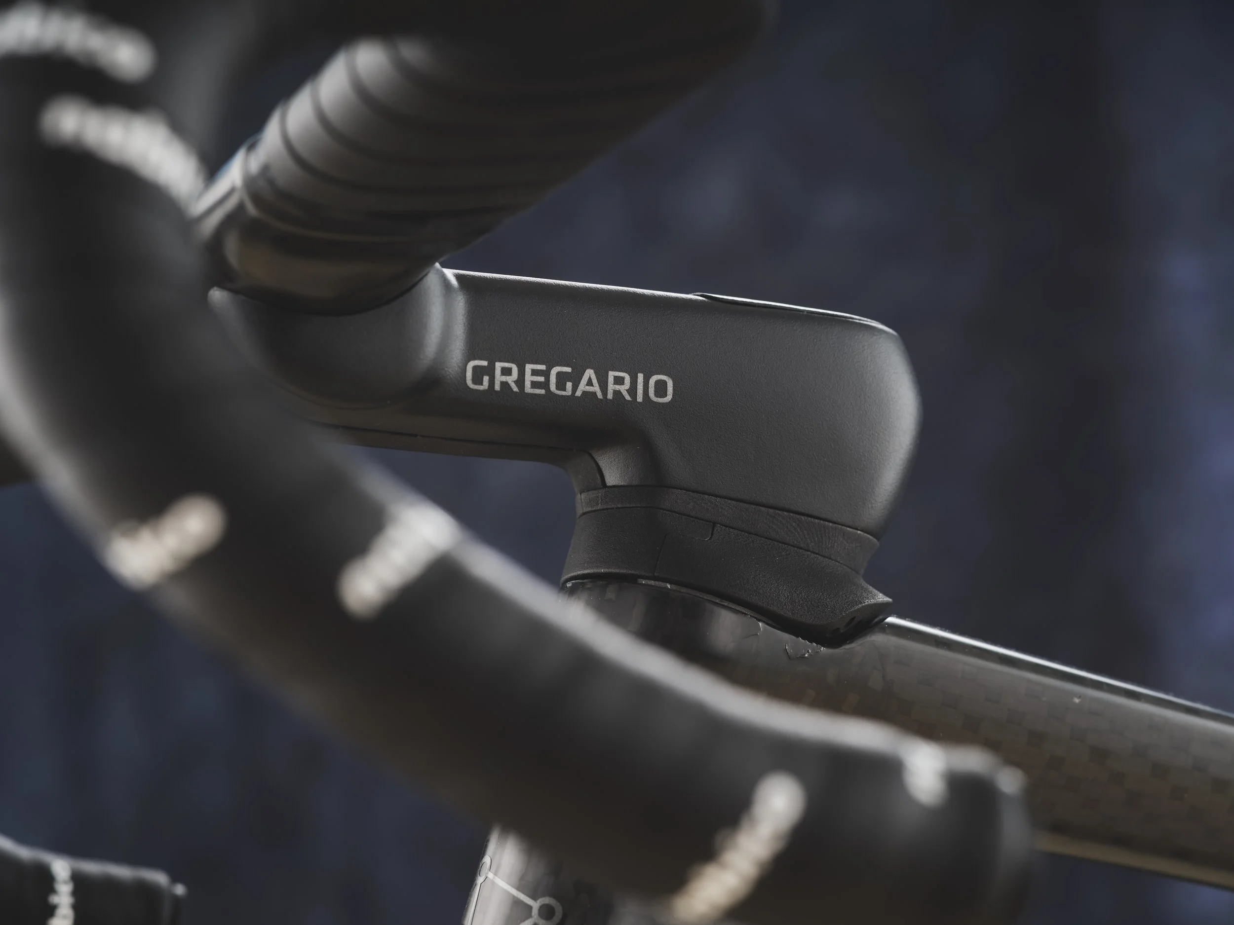 AG-BespokedDresden25-BestNewBuilder-Gregario-15.JPG