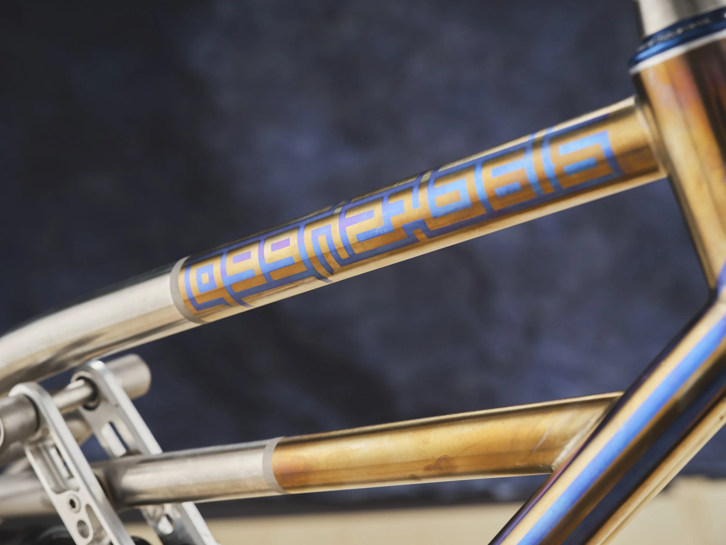 AG-BespokedDresden25-BestOffRoadBike-BlackSheep-03.JPG