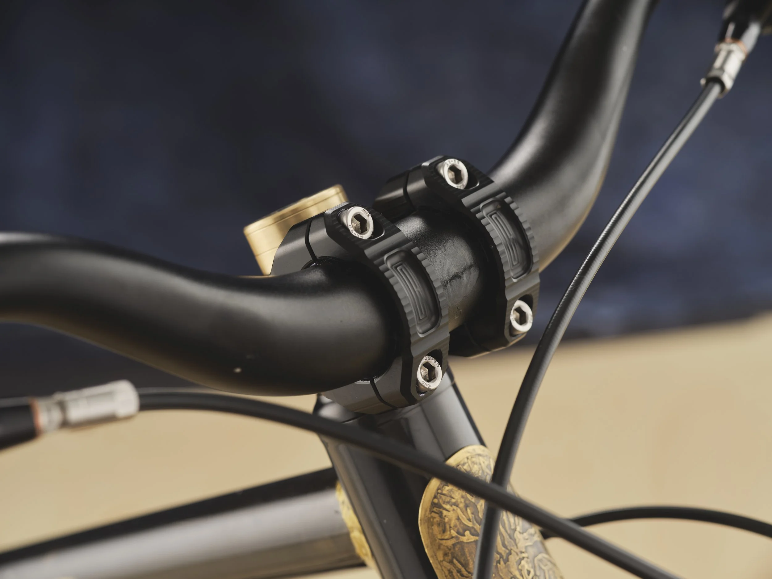 AG-BespokedDresden25-BestMTB-LooseLevin-04.JPG