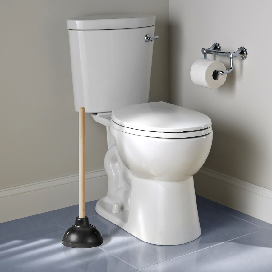 A white toilet with a plunger leaning against it, and a roll of toilet paper on a chrome holder mounted on the wall. Norwich Plumbing and Heating Ltd.