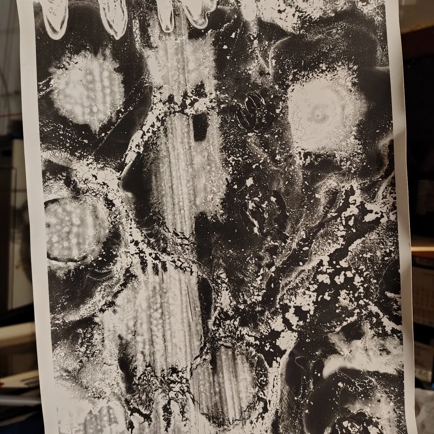 Analog photography 
#camerlessphotography