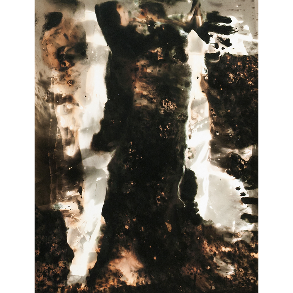 Abstract chemigram 'Chemgraph No. 3' — dark organic forms against luminous white and amber, chemical texture throughout.