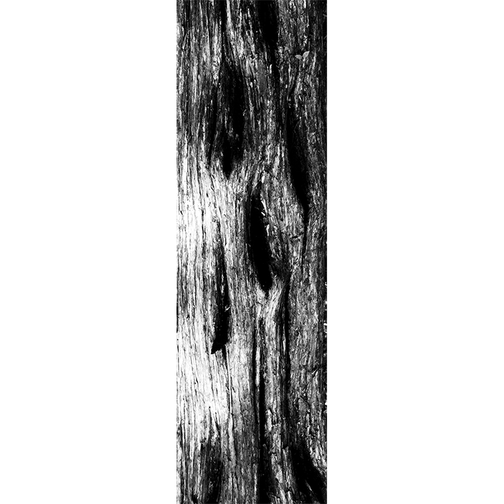 191-1-SandCedar-pt.png