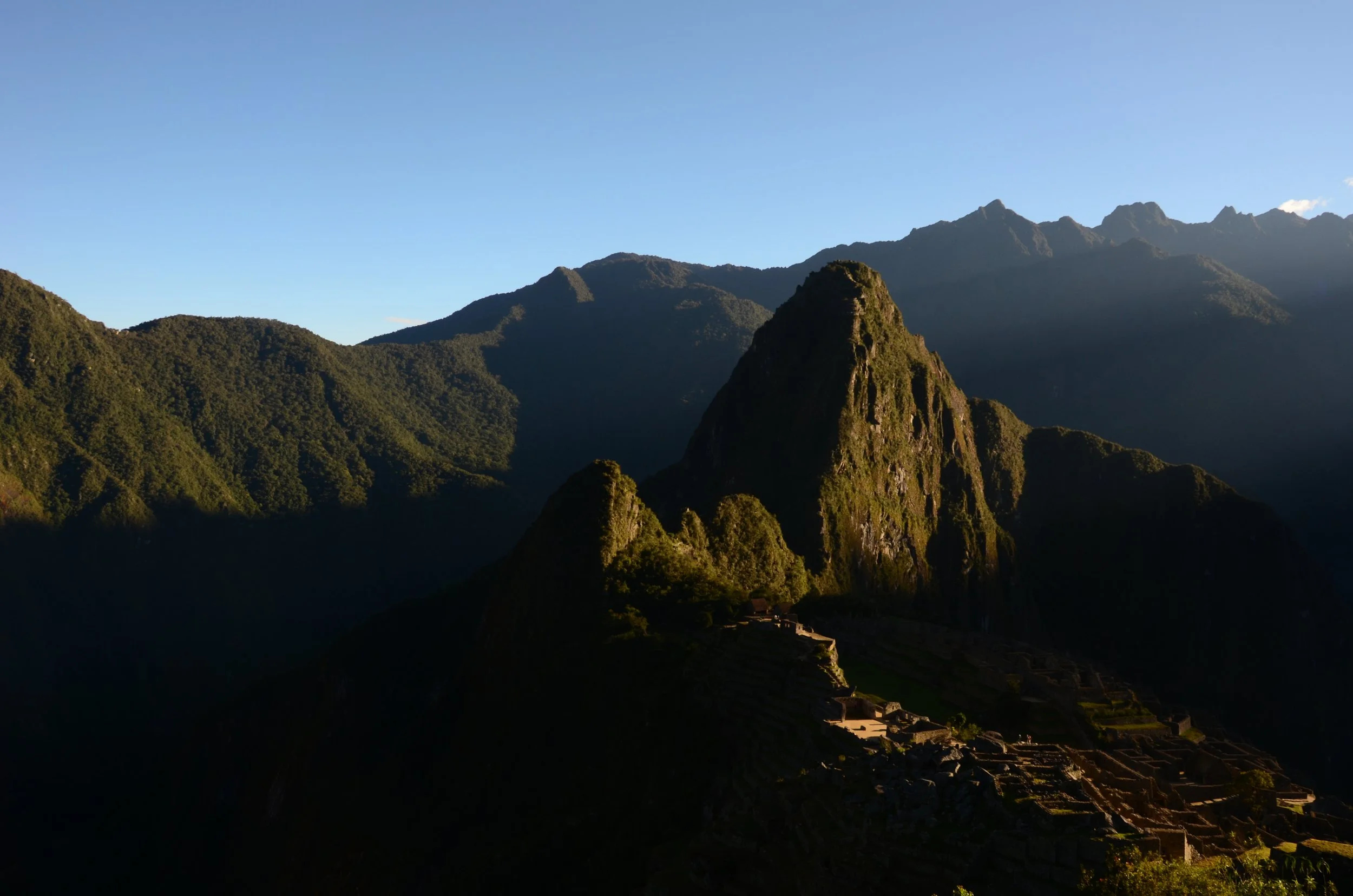 The Archive Collection