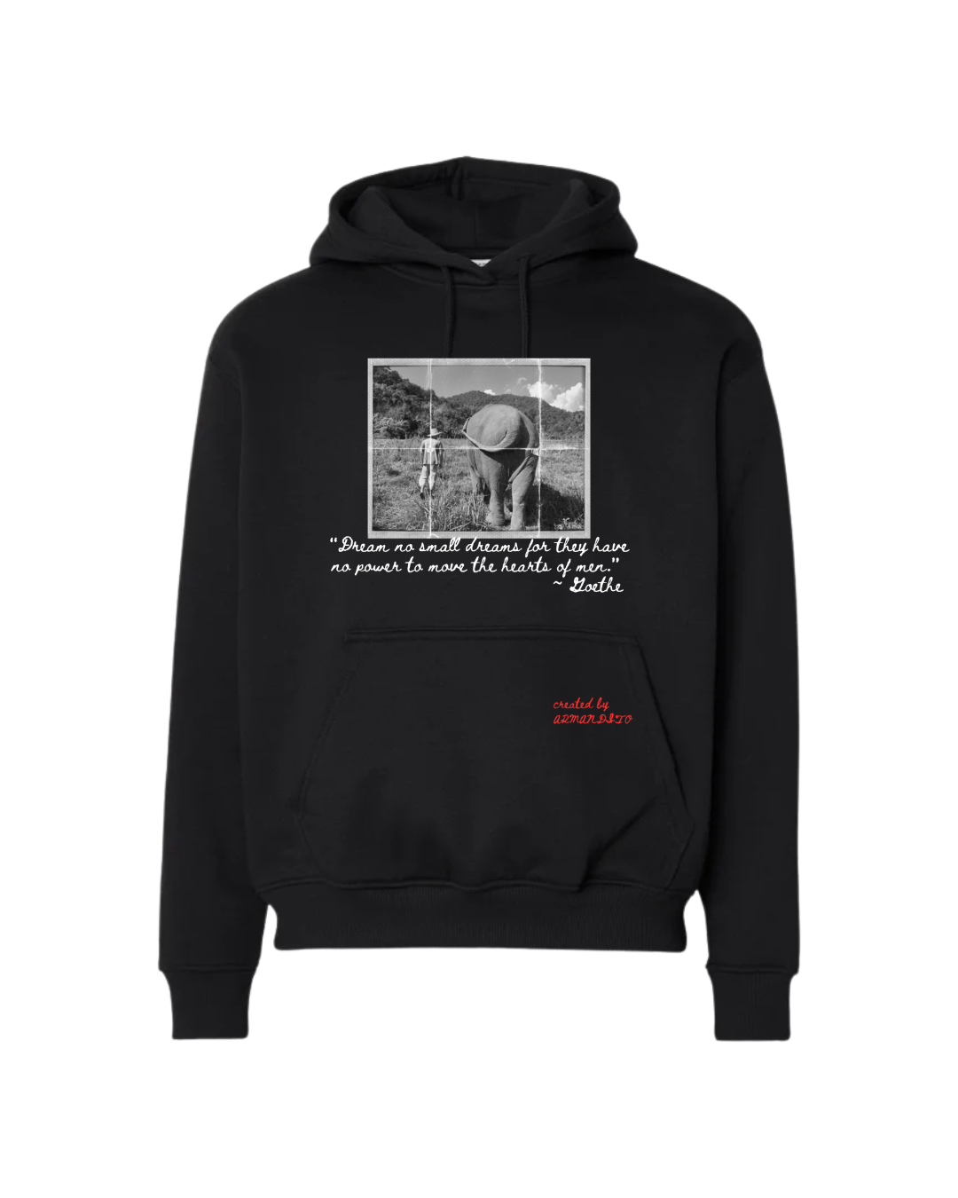 dream BIG hoodie