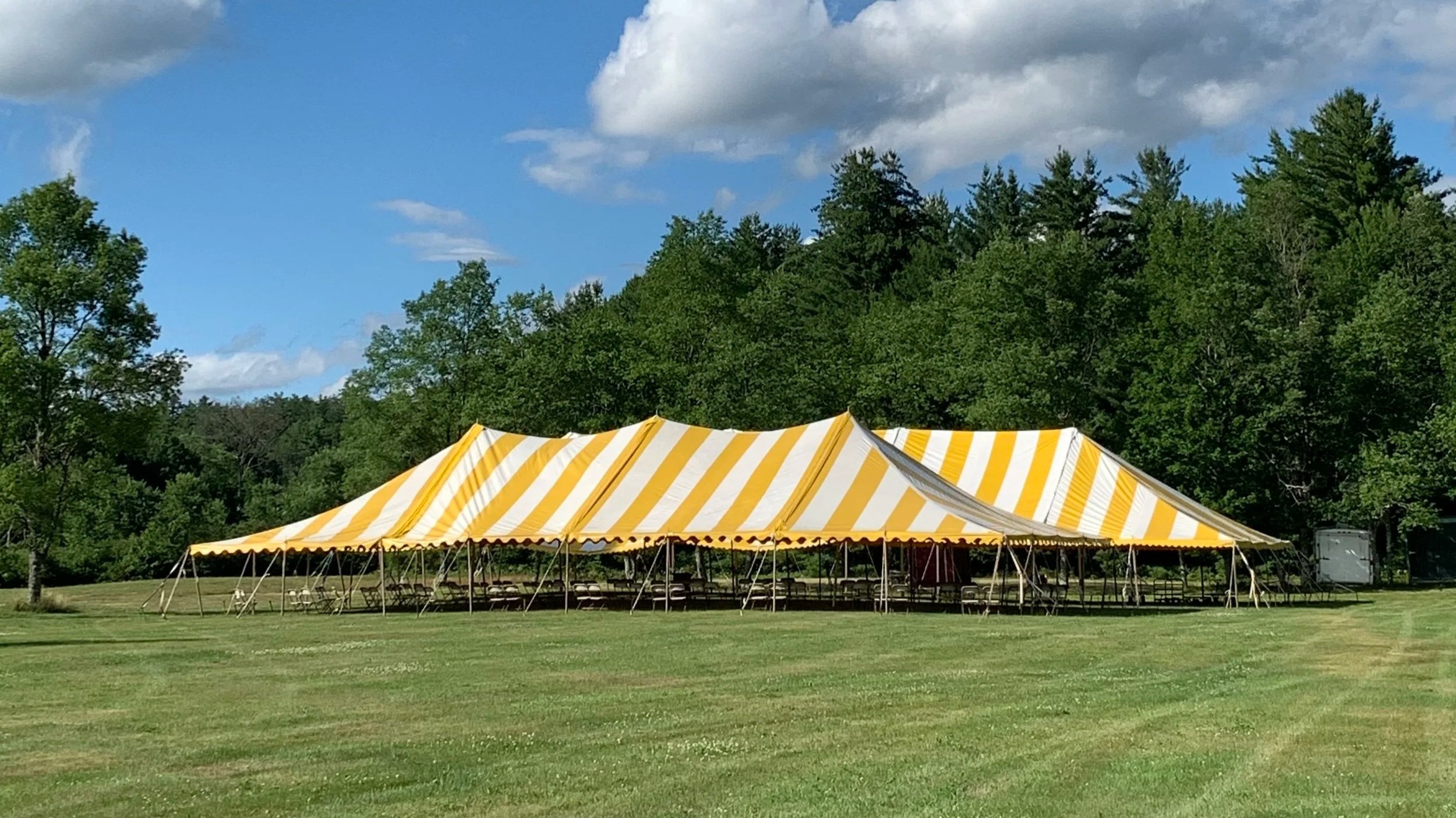 August Antiques Auction on the Field