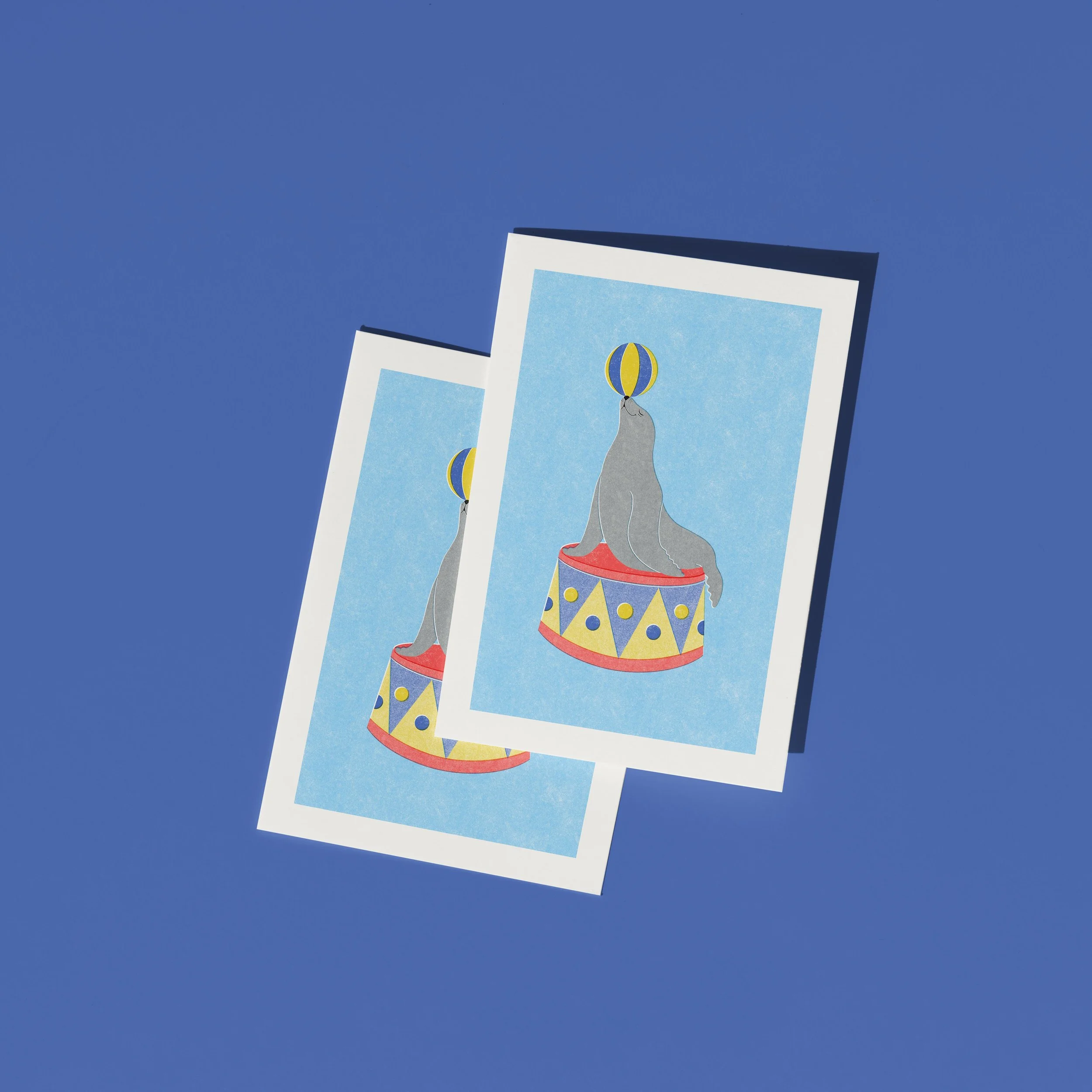 CIRCUS SEAL 1.jpg