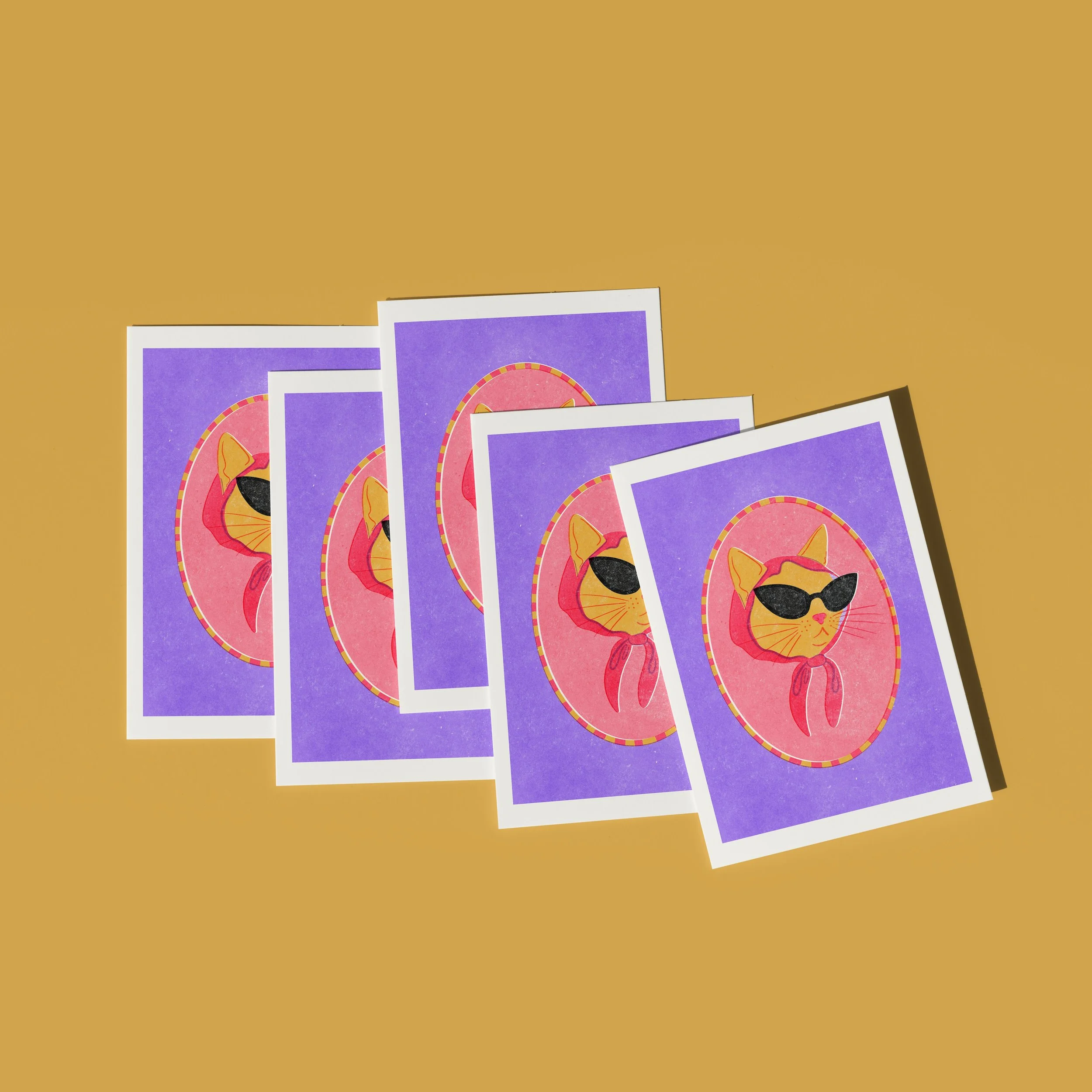 COOL CAT 8.jpg