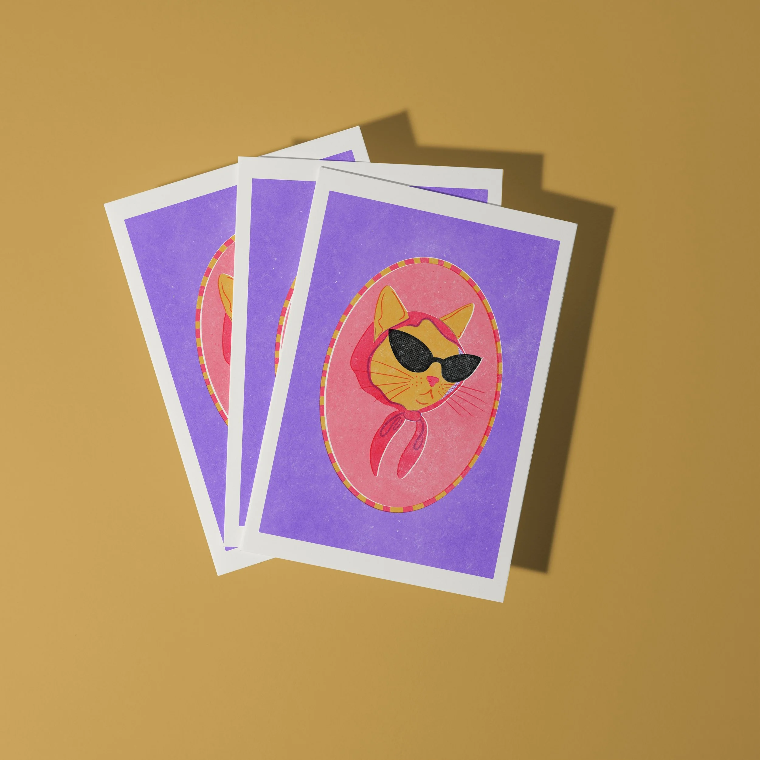 COOL CAT 7.jpg