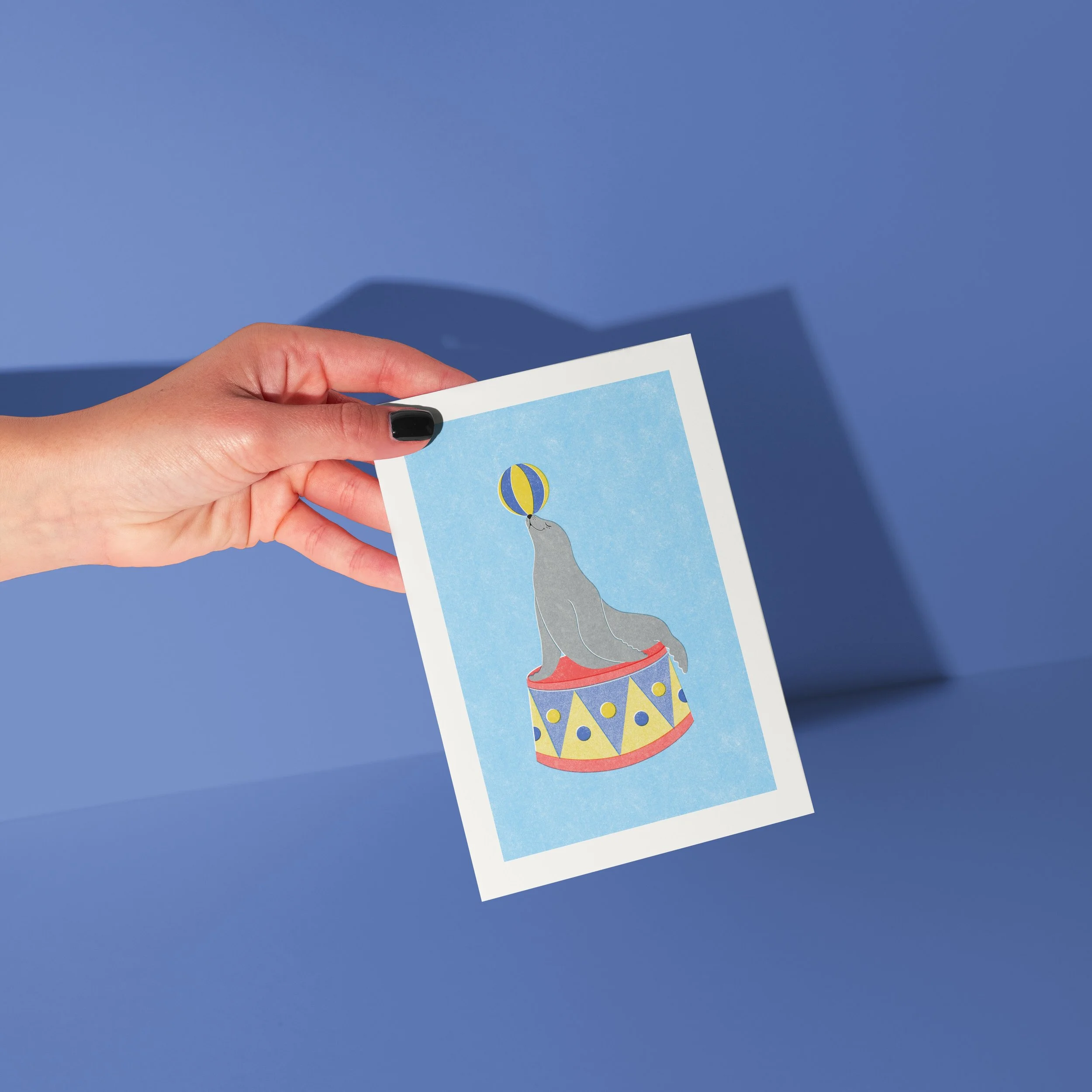 CIRCUS SEAL 4.jpg