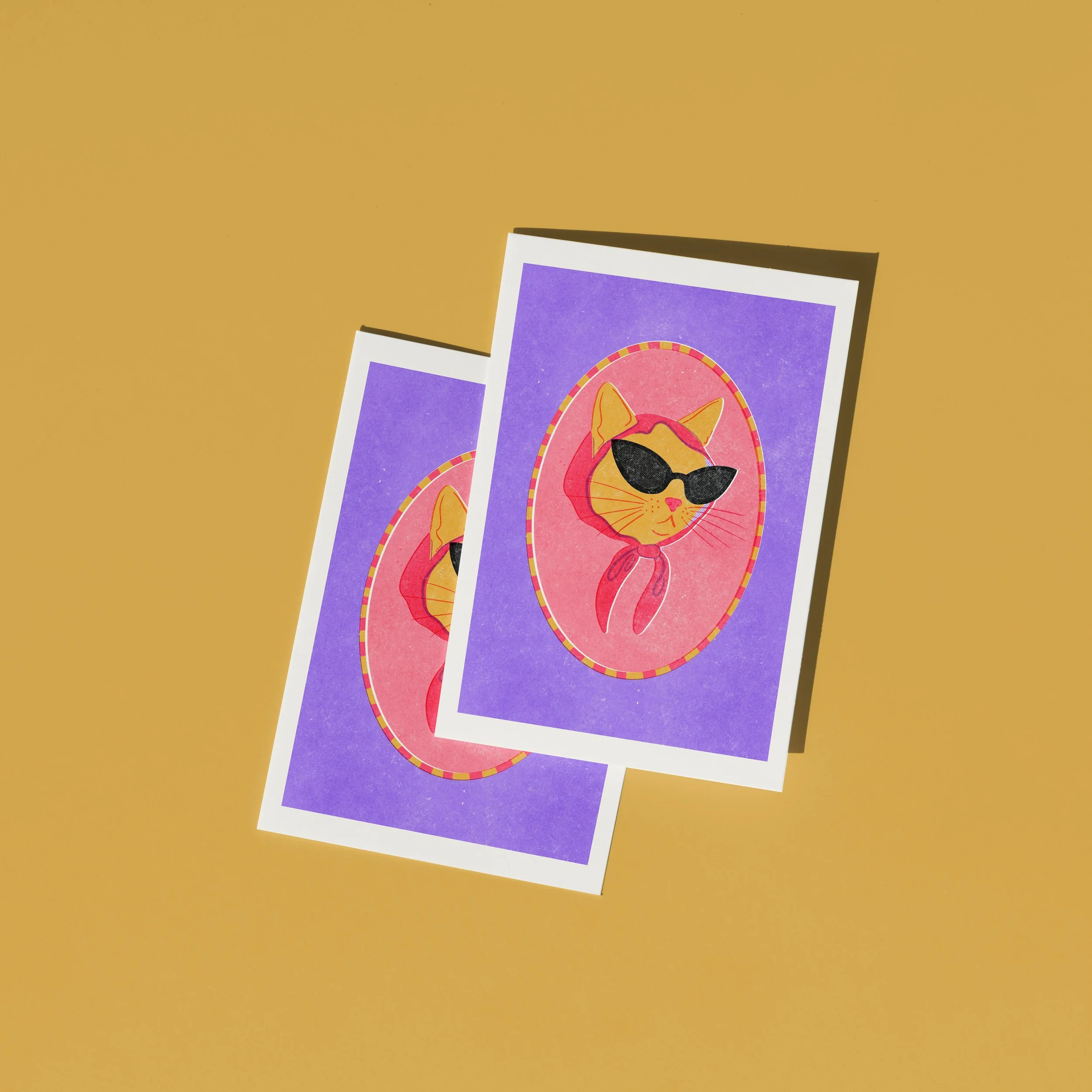 COOL CAT 1.jpg