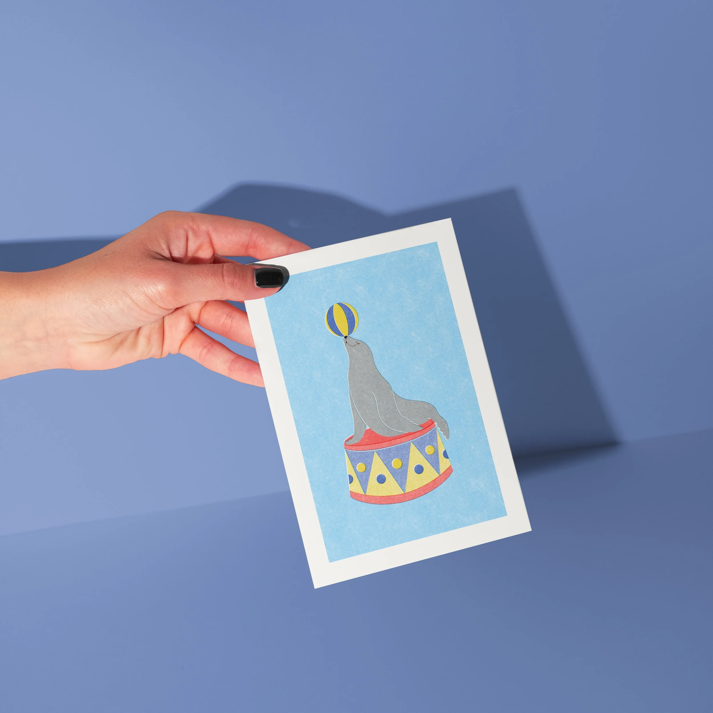 CIRCUS SEAL 1.jpg