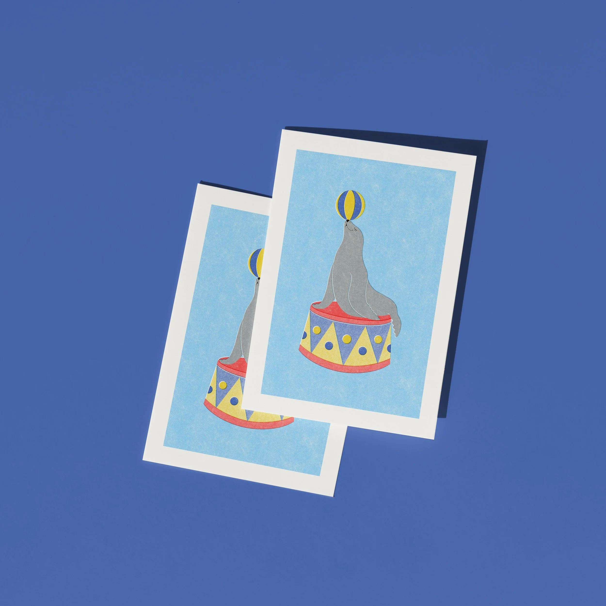 CIRCUS SEAL 3.jpg
