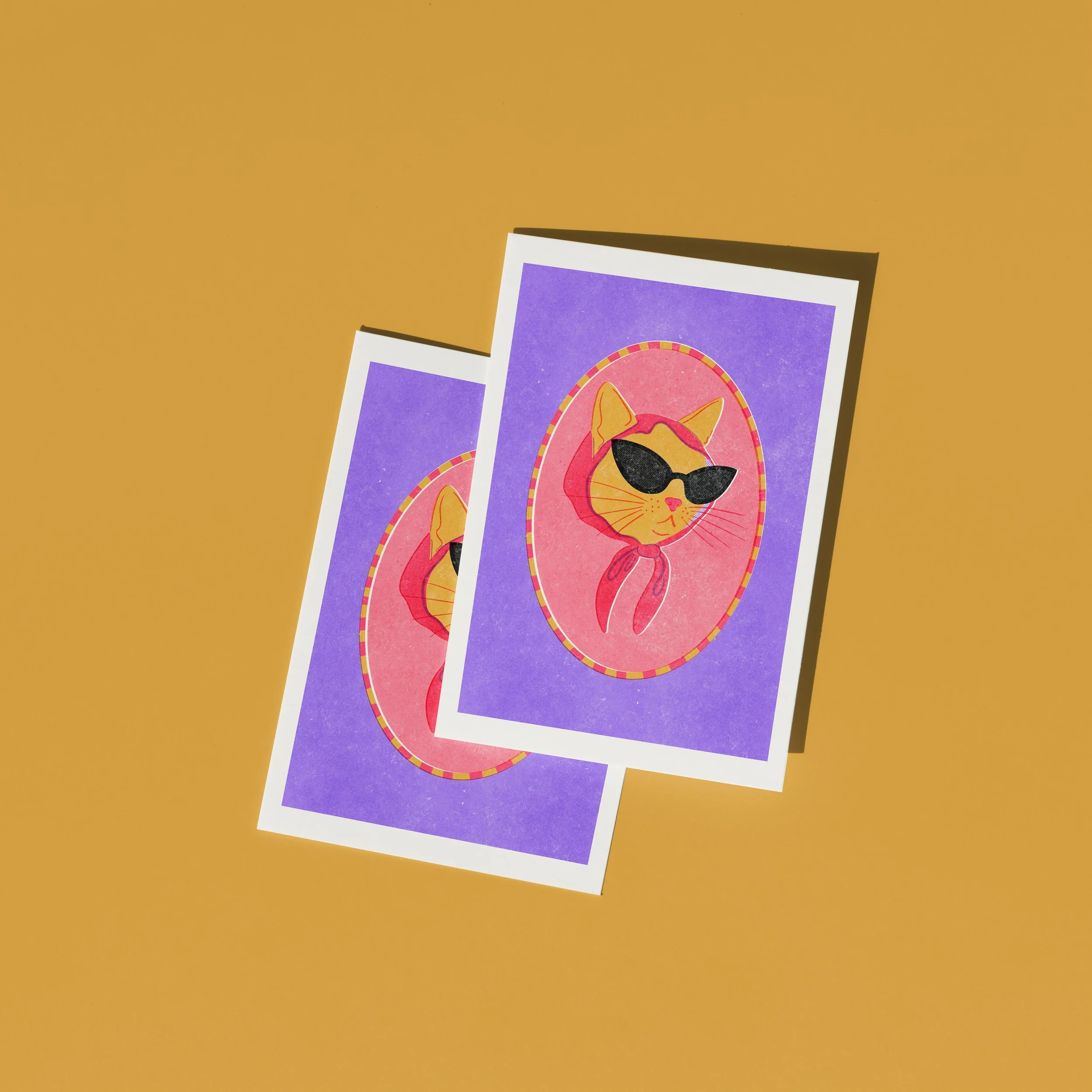 COOL CAT 5.jpg