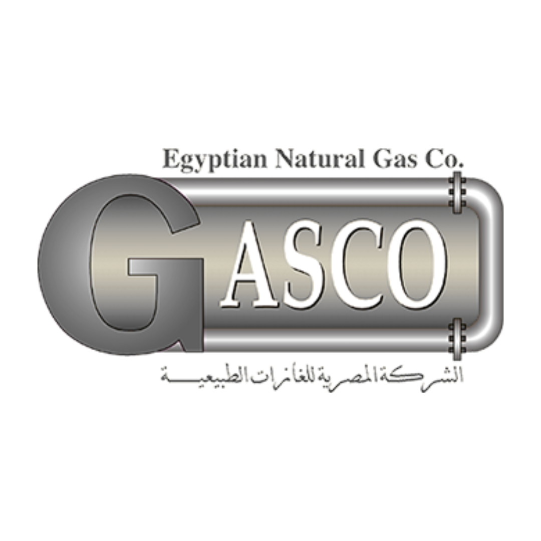 Logo of Egyptian Natural Gas Co. featuring a metallic gas pipeline with text in English and Arabic