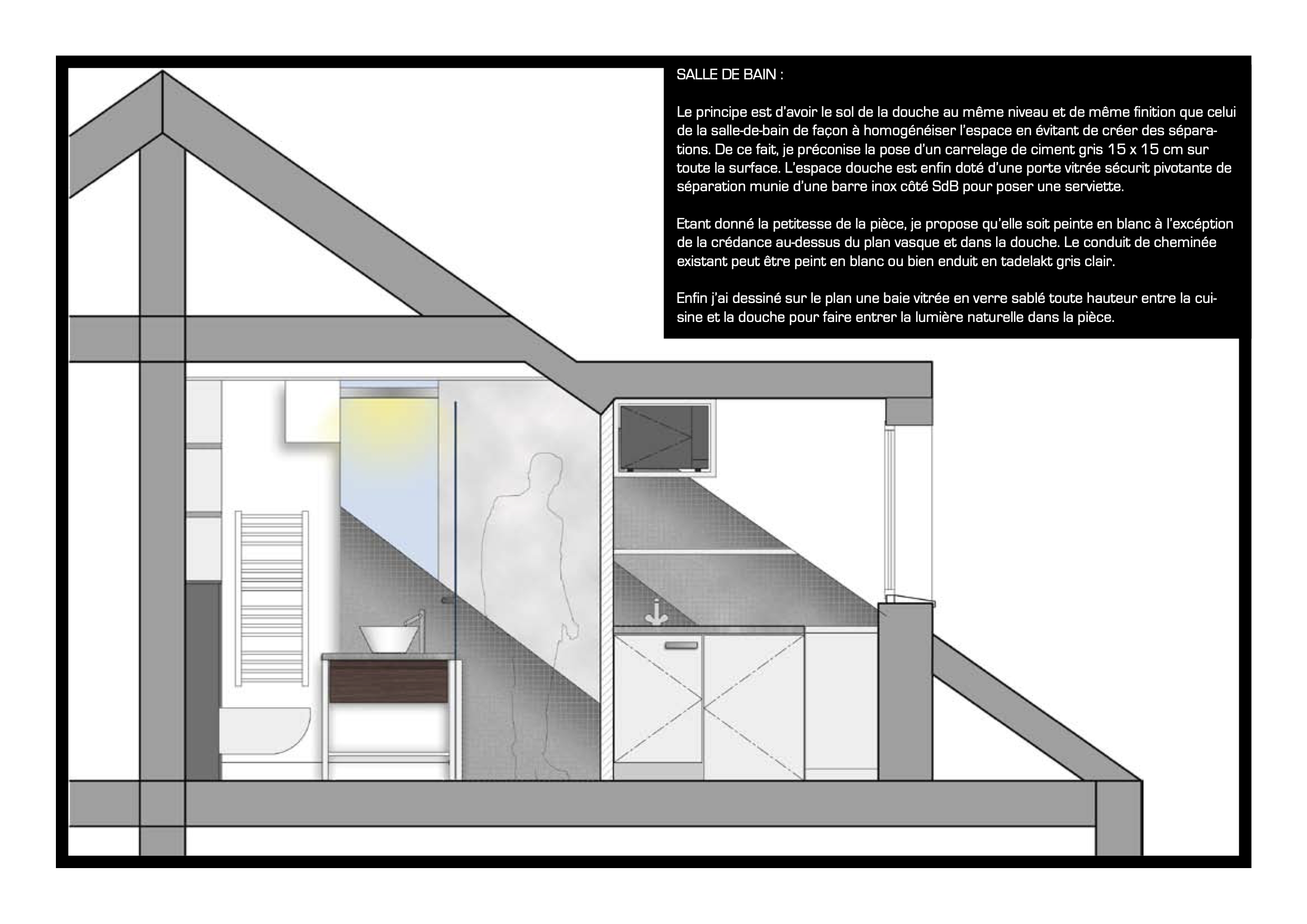 Plan architectural d'une salle de bain en coupe avec description en français, montrant un mur en verre, un lavabo, des éléments de plomberie, une douche, un wc, et des éléments de décoration et d'aménagement.