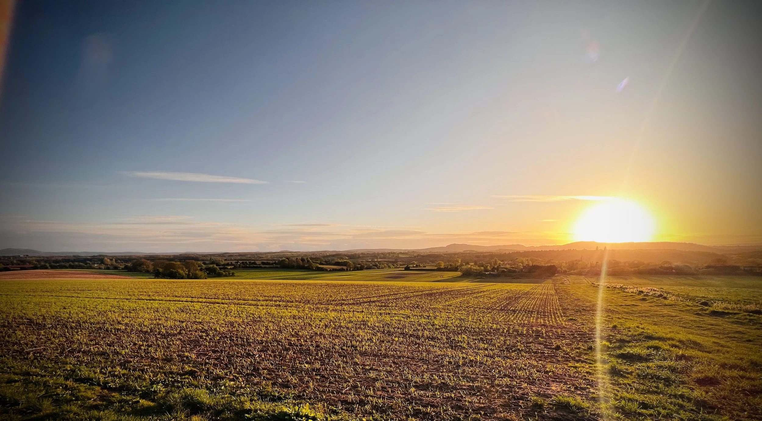 sunset over the barn.jpg