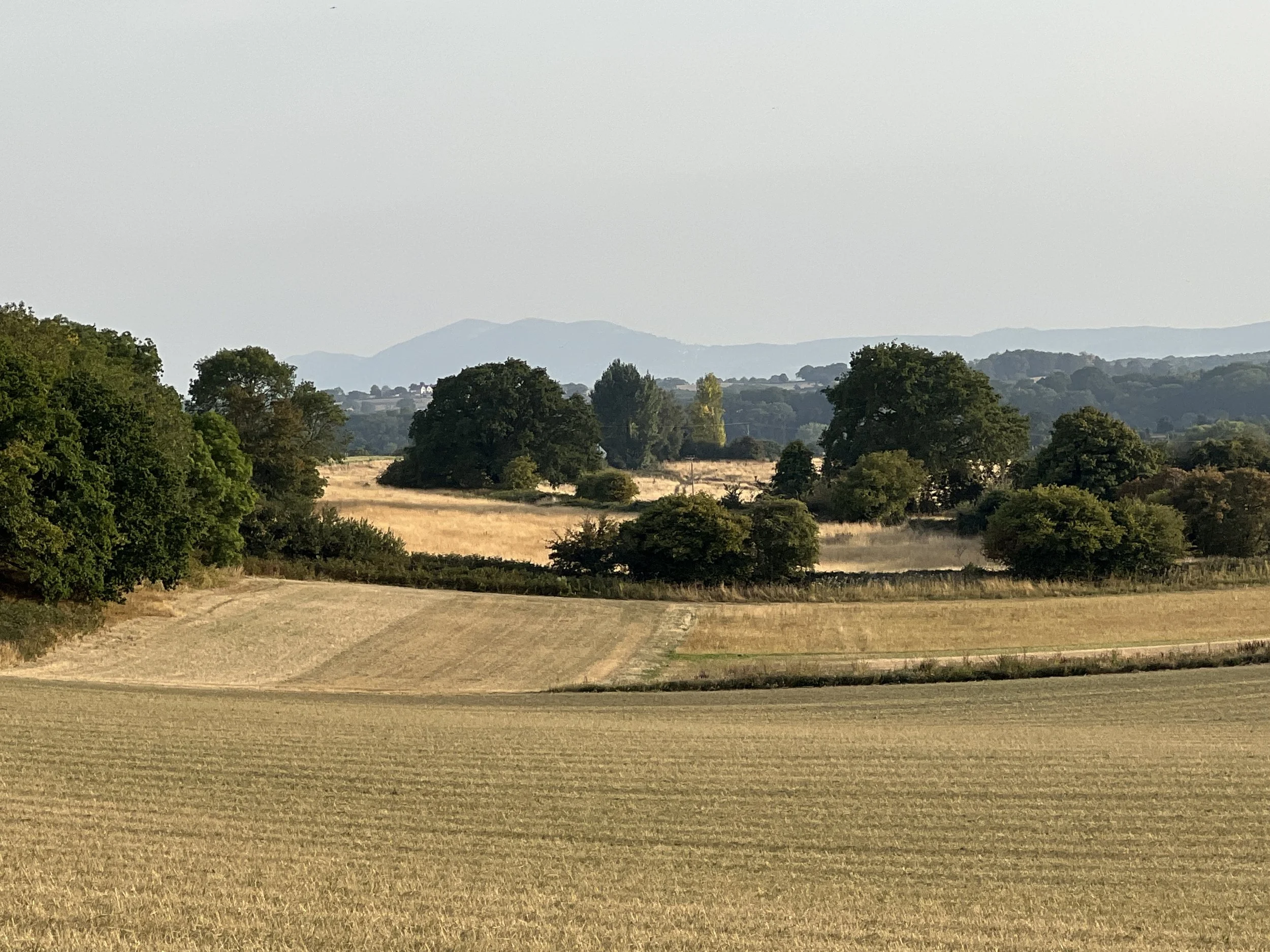 A landscape scene with a porch or farm field with light-colored soil or grass in the foreground, trees and shrubs in the middle ground, and mountains and a cloudy sky in the background.
