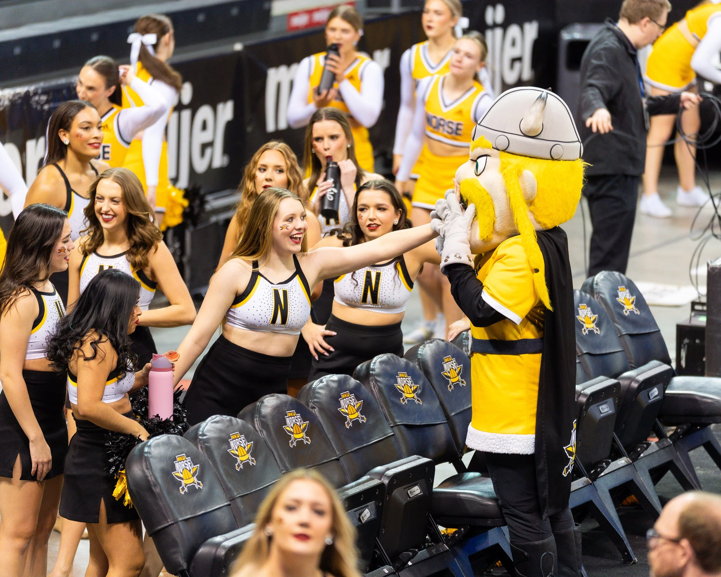 Group of cheerleaders in yellow and black uniforms talking with a mascot dressed as a Viking in a yellow outfit at a sports event.