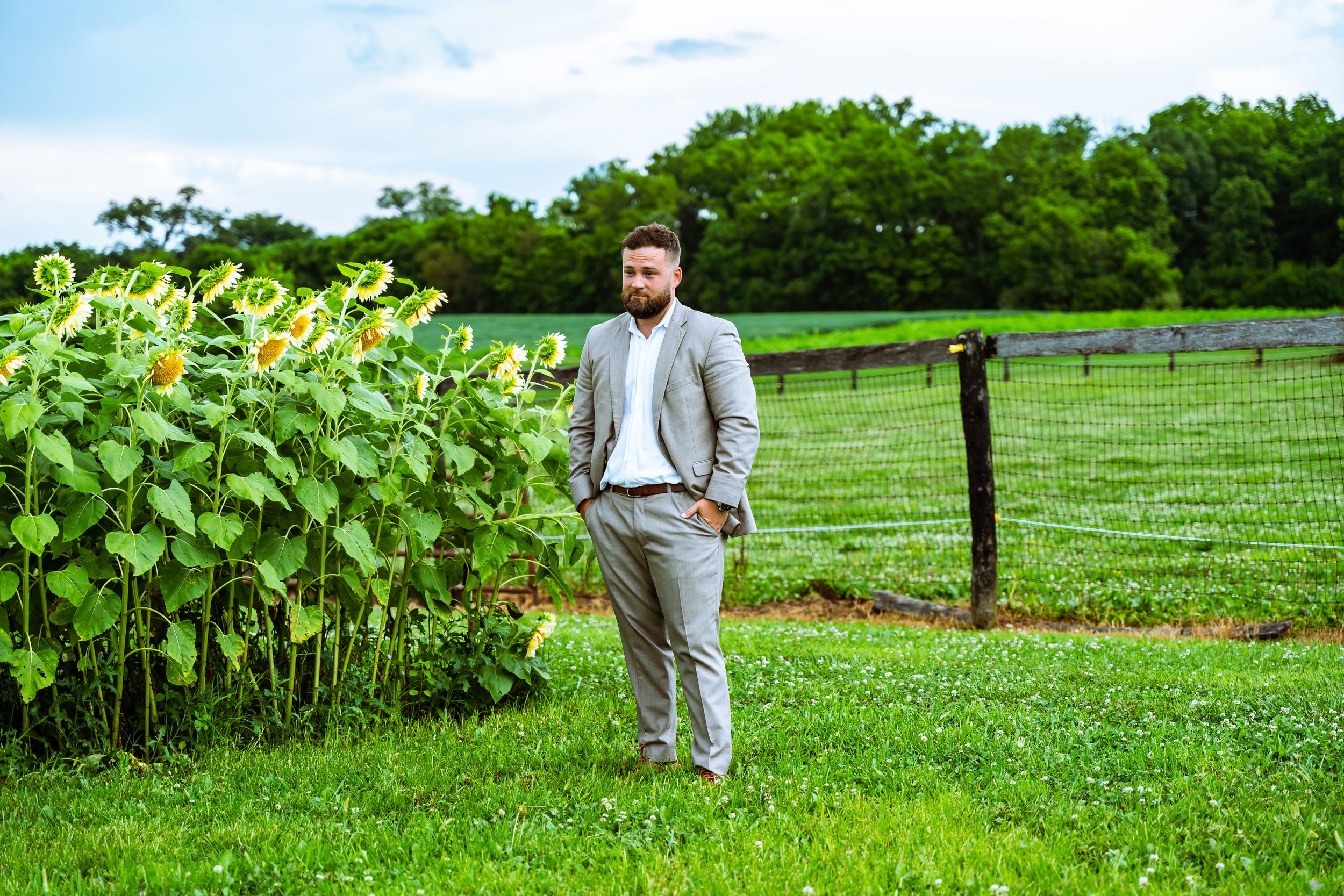 A man in a gray suit standing in a green field beside a row of sunflowers with trees and a fence in the background.