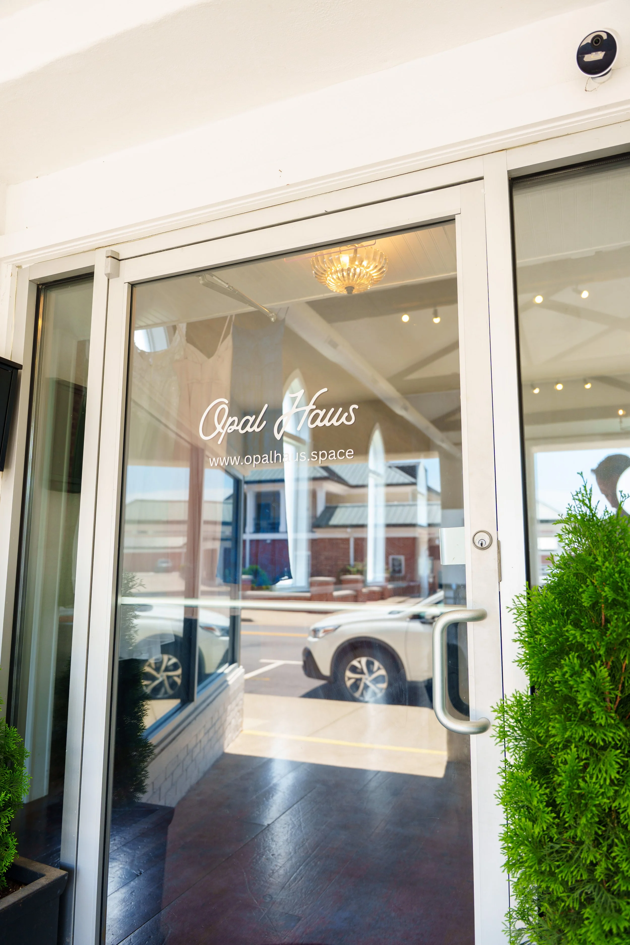 Glass door with a 'Opal Haus' logo and website URL, framed by green plants, leading inside a building with a chandelier, and a parking lot with cars outside.