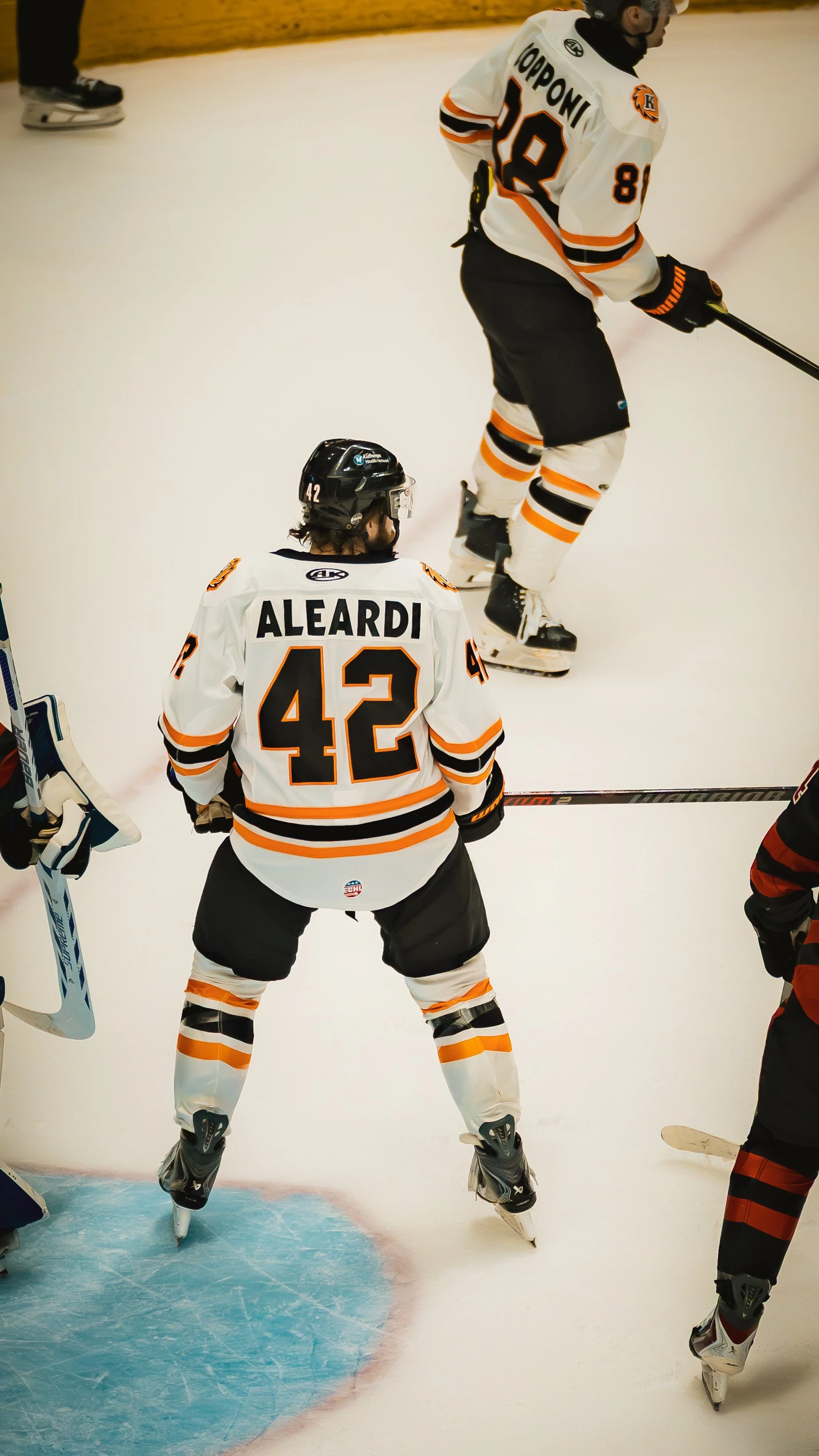 Komets-20.JPG