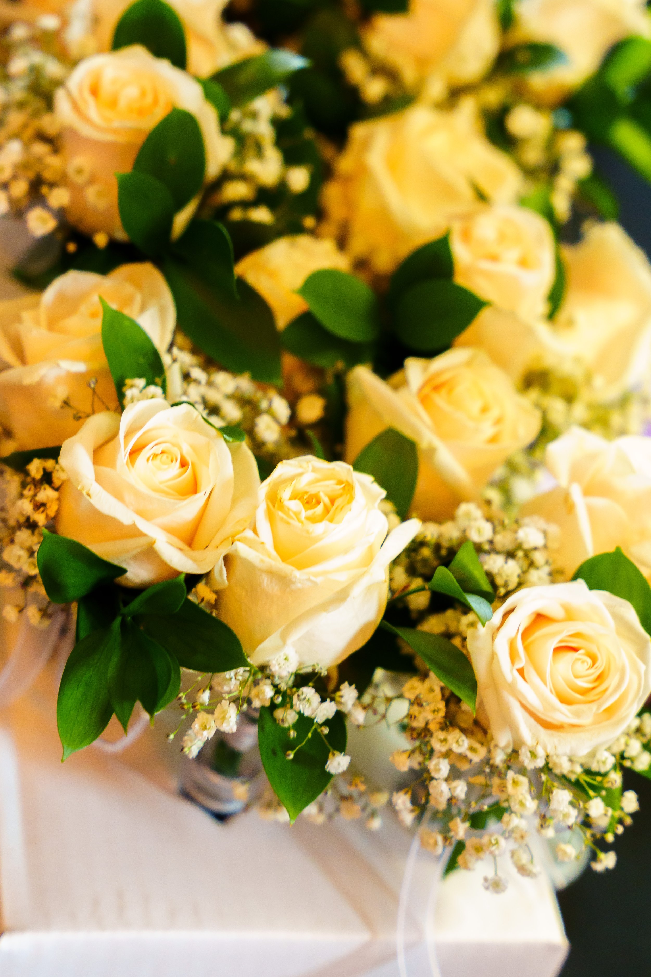 Cream-colored roses with green leaves and small white filler flowers in a bouquet.