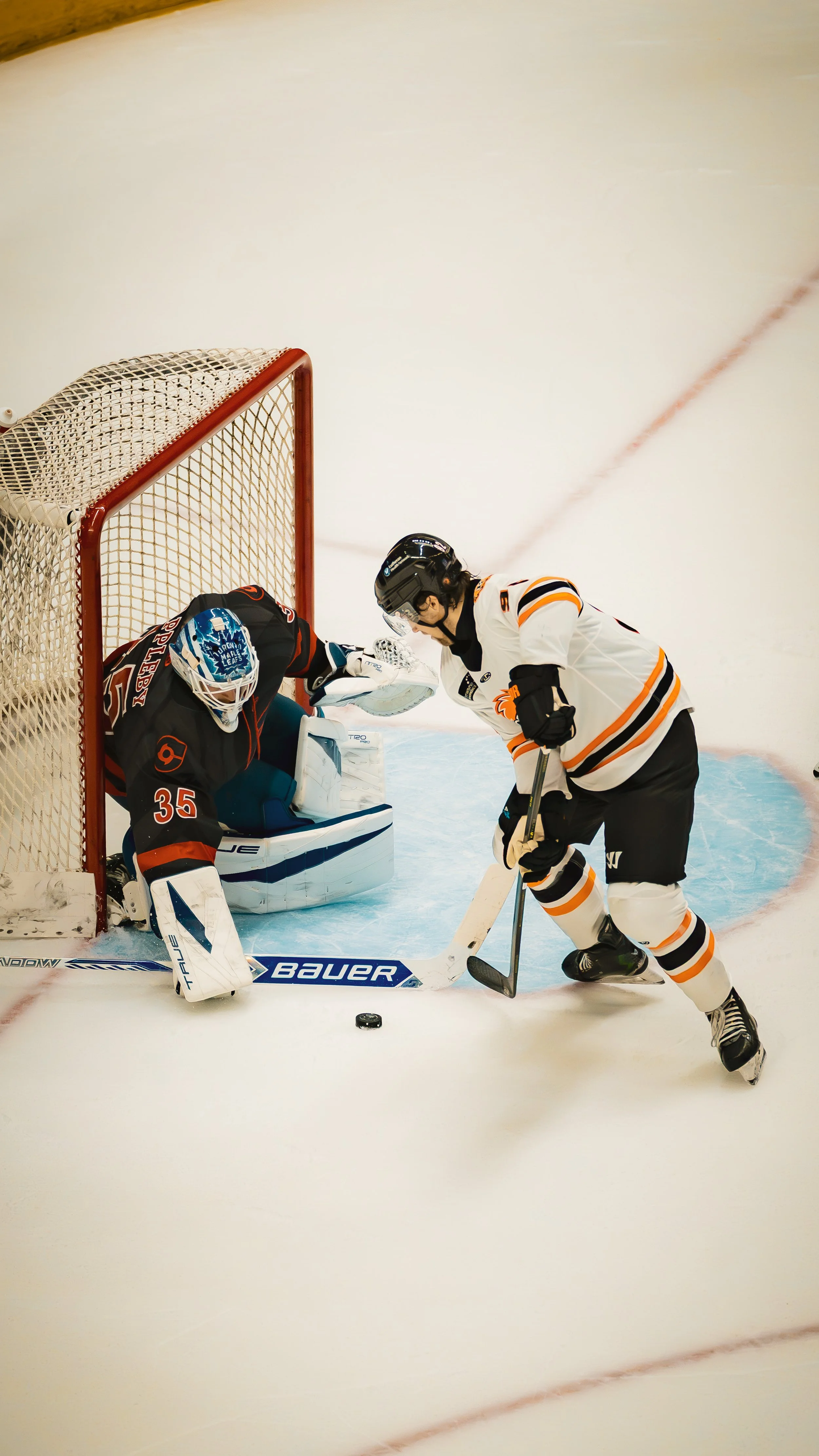 Komets-32.JPG