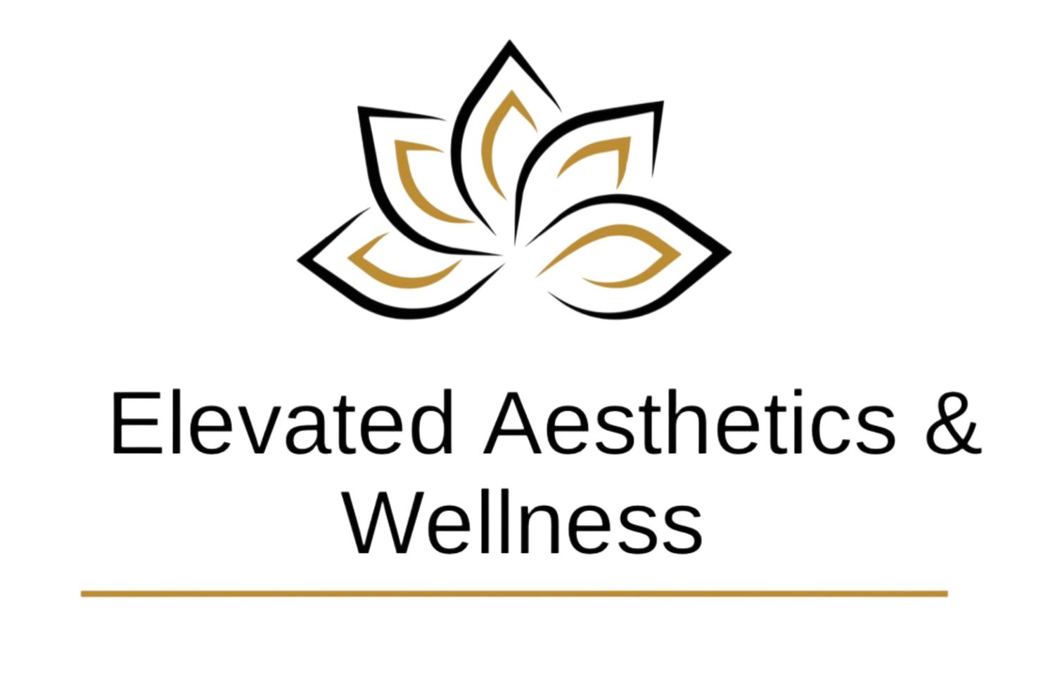Elevated Aesthetics + Wellness - 1620
