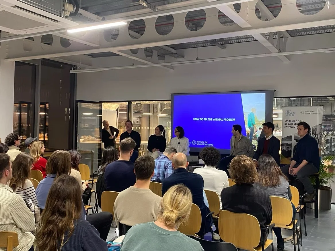 Sustainable Food: How to Fix the Animal Problem