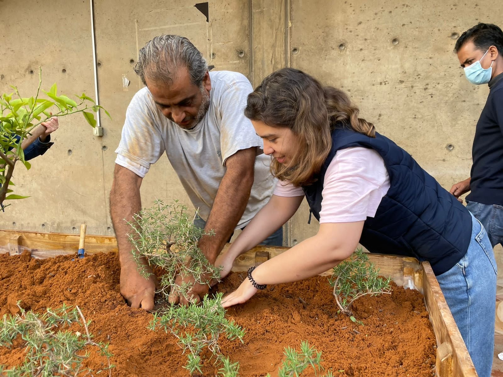 Cultivating Greener Cities: Introducing the Goods of Our City Urban Gardening Toolkit