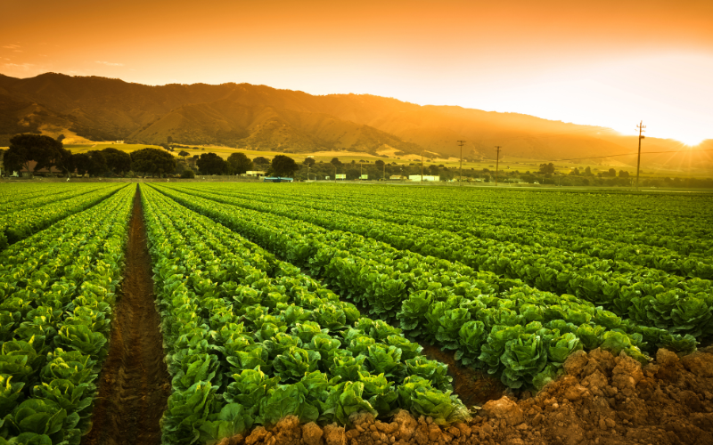 Professor McGlade leads on innovative methodology for the measurement of natural capital