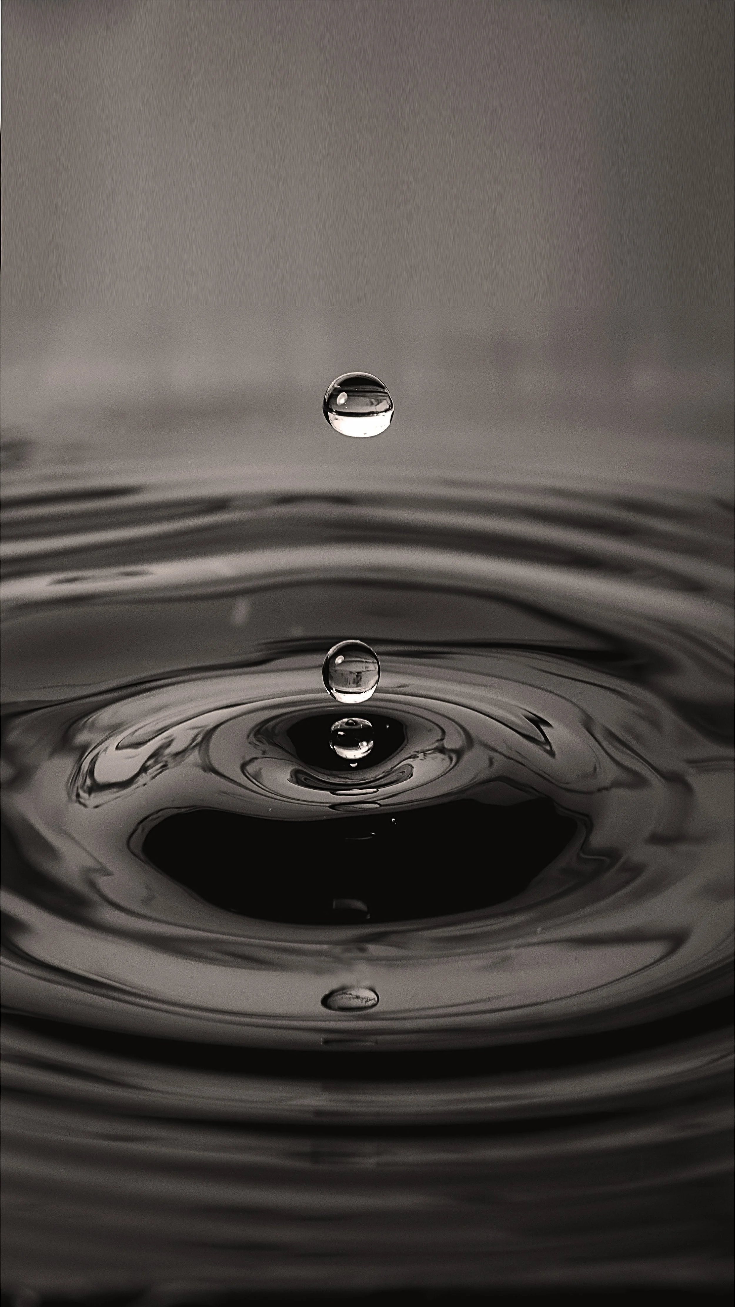 Close-up of a water droplet falling into a dark water surface, creating ripples.