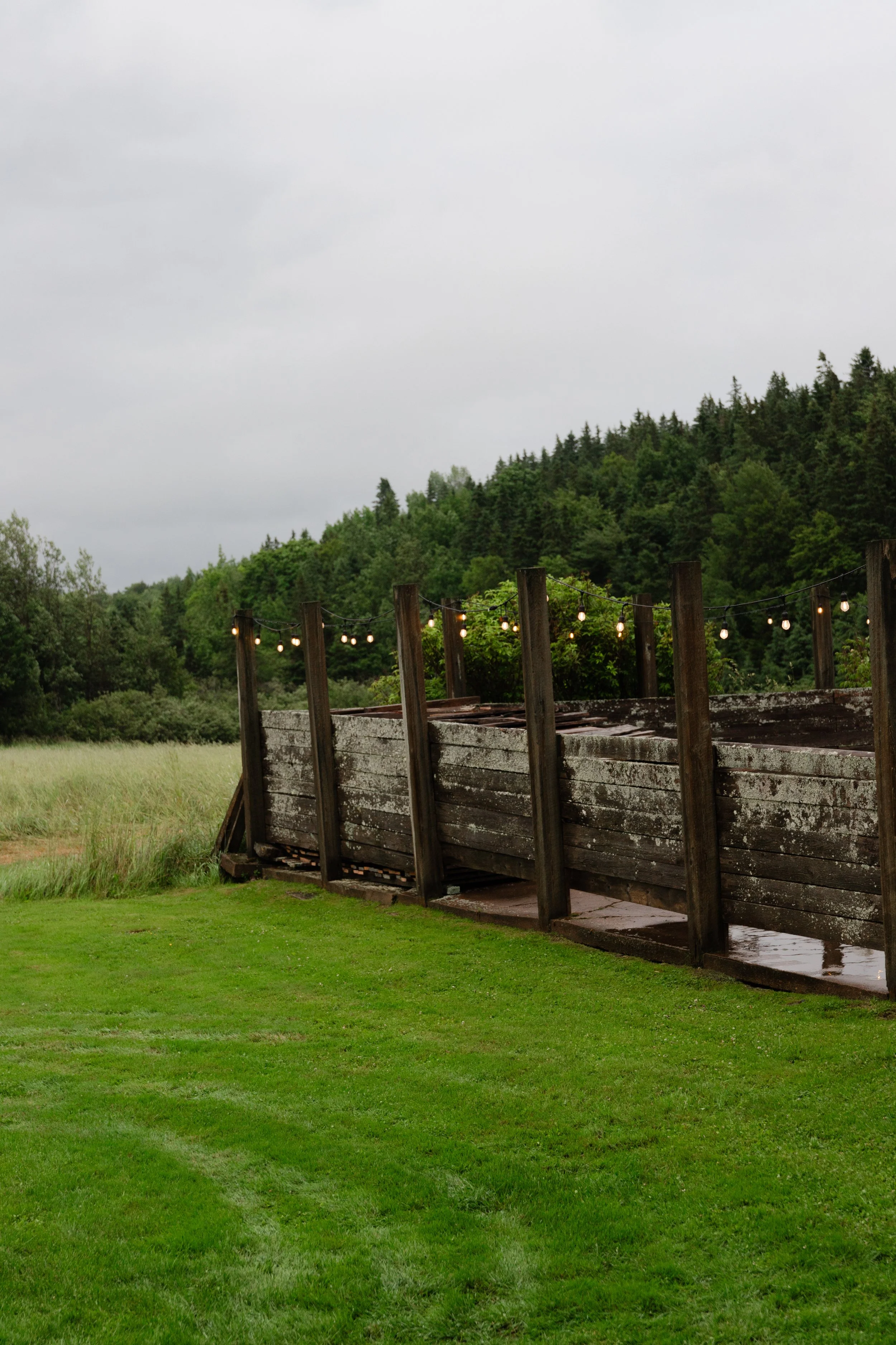 An outdoor scene featuring an old, weathered wooden boat with hanging string lights, set on a grassy area with a backdrop of trees and overcast sky.
